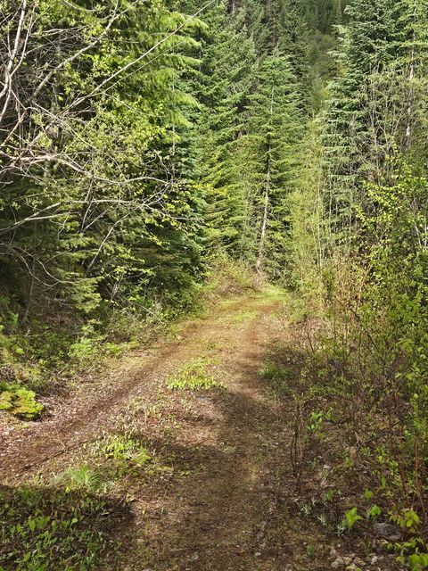 Tiny photo for Tract 10 Ida Lode Nine Mile Road, Huson, MT 59846 (MLS # 30071388)