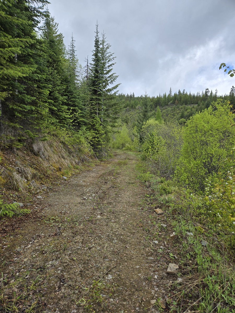 Tract 10 Ida Lode Nine Mile Road