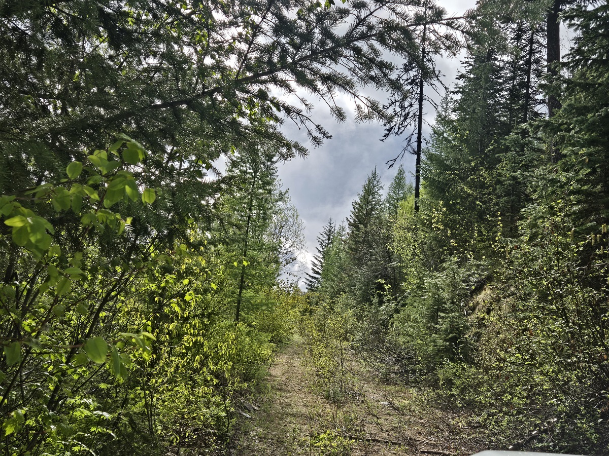 Tract 10 Ida Lode Nine Mile Road