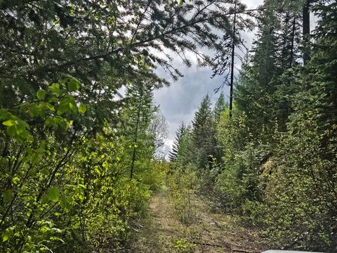 Tiny photo for Tract 10 Ida Lode Nine Mile Road, Huson, MT 59846 (MLS # 30071388)