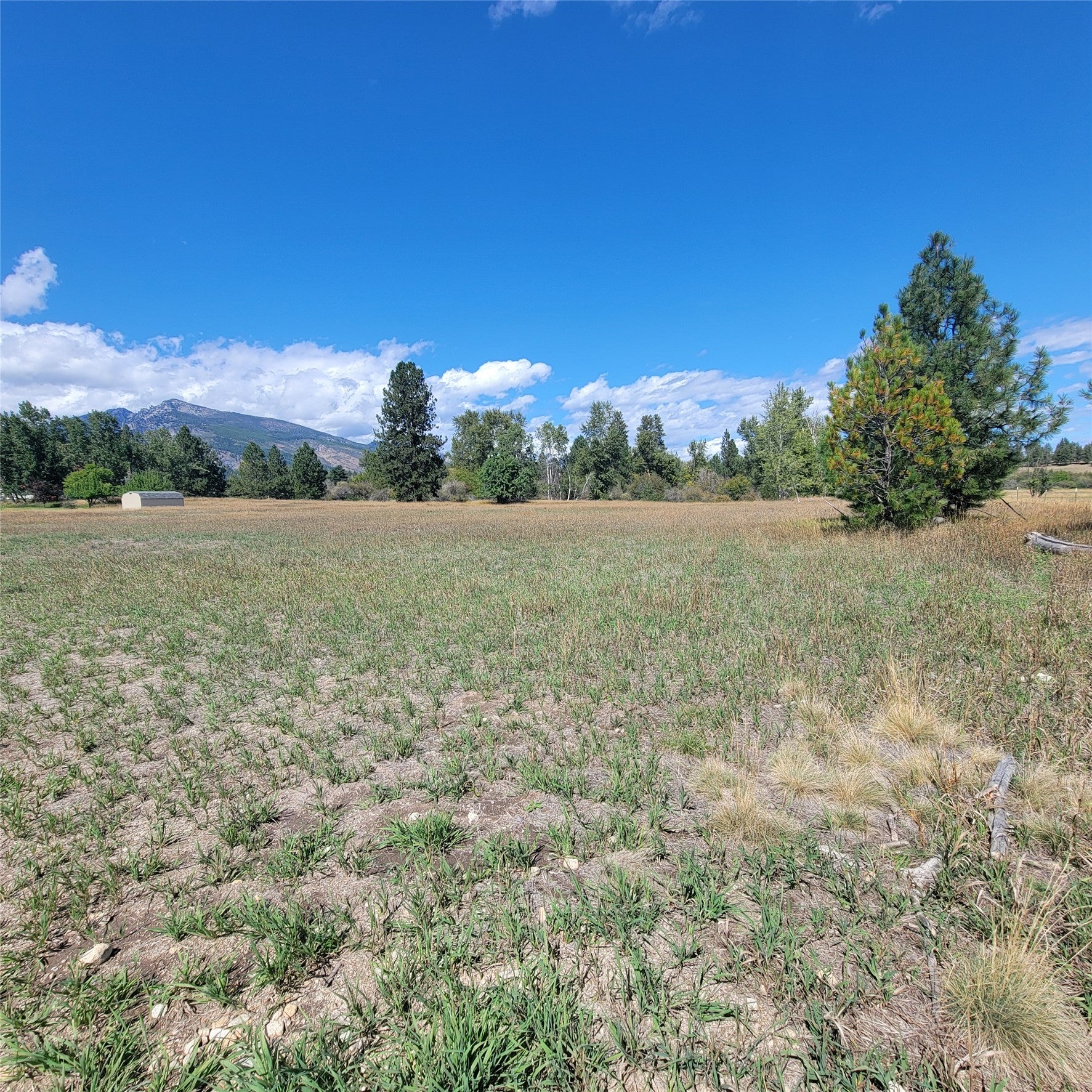 NKN Canyon Creek RD Remainder