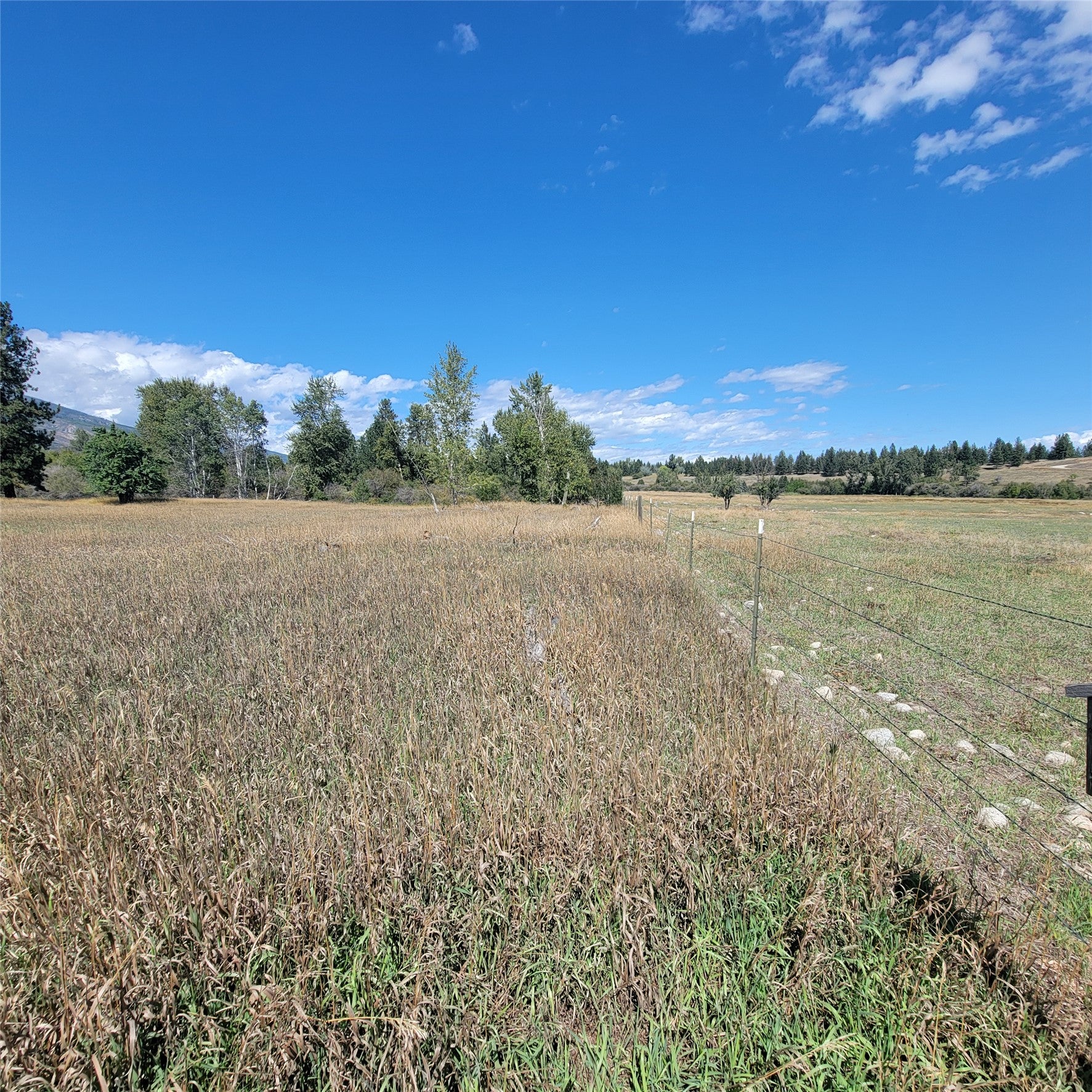 NKN Canyon Creek RD Remainder