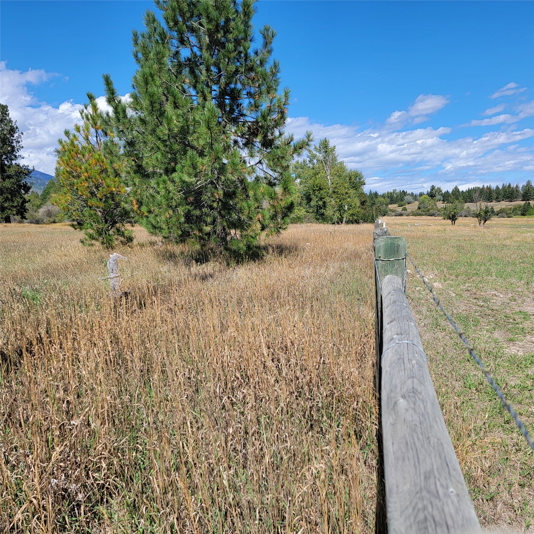 NKN Canyon Creek RD Remainder