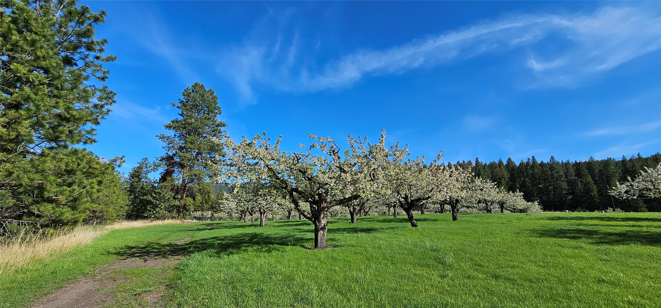 Polson, Montana 59860, United States, ,Land,Active,175284