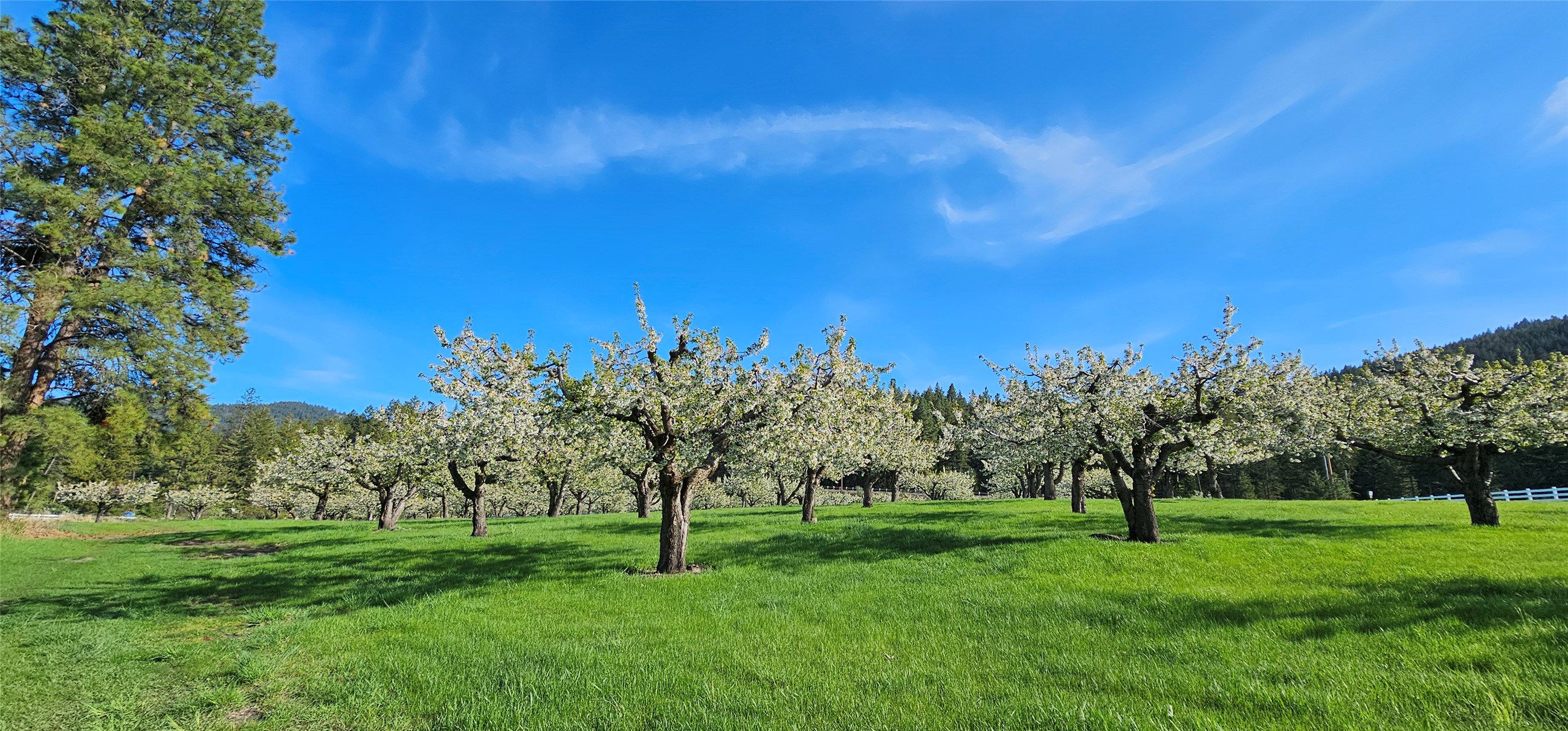 Polson, Montana 59860, United States, ,Land,Active,175284