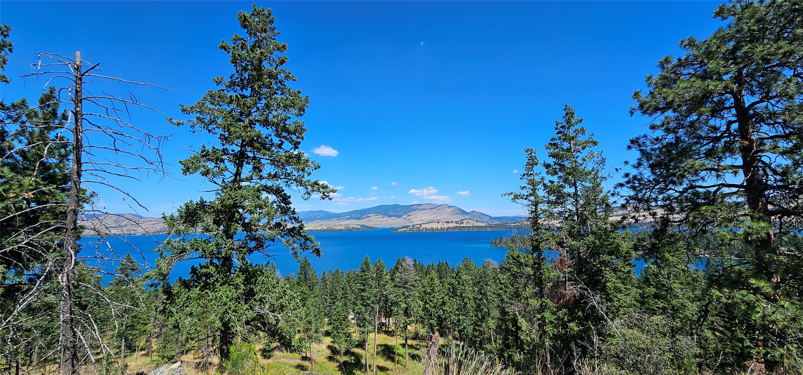 39784 US Hwy 93