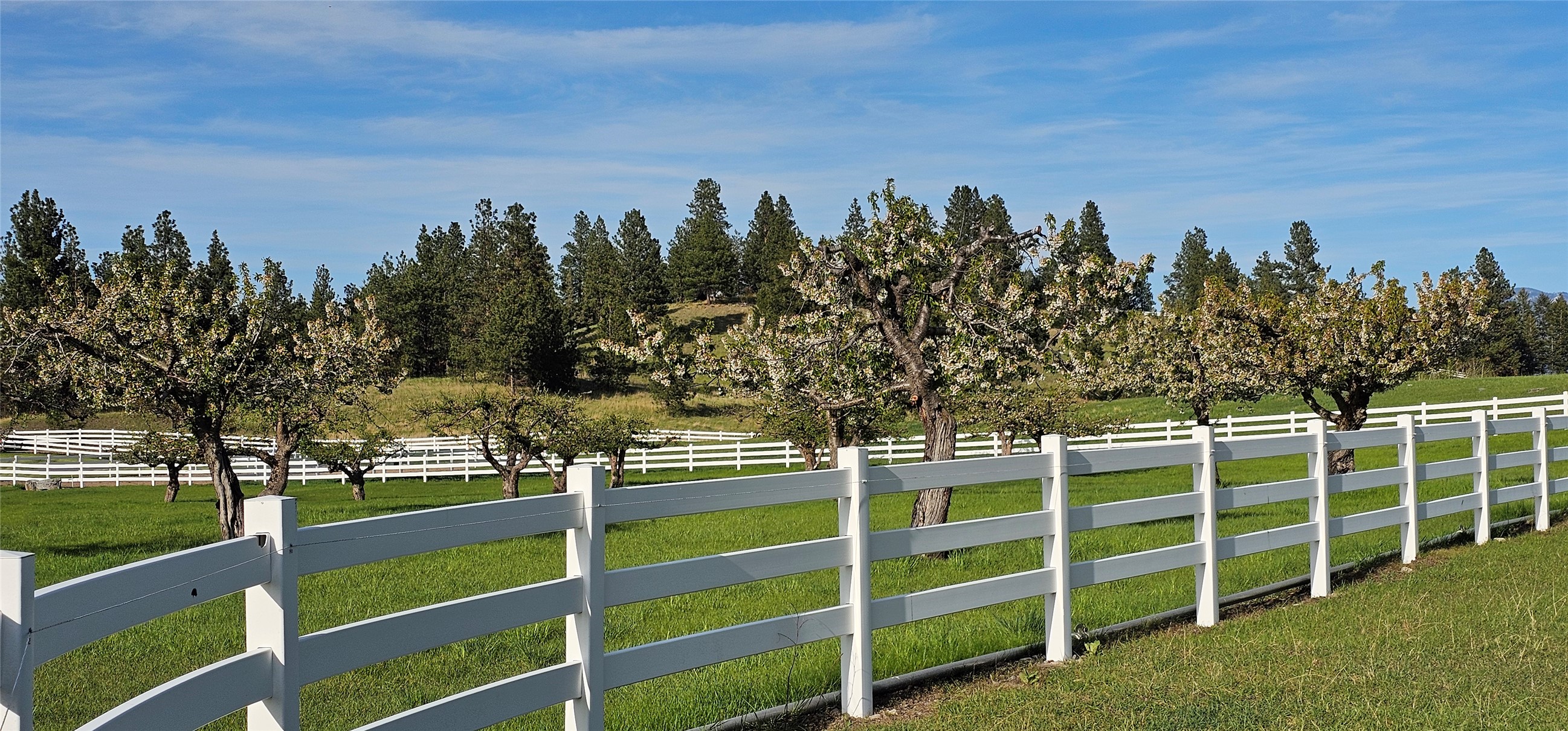Polson, Montana 59860, United States, ,Land,Active,175284