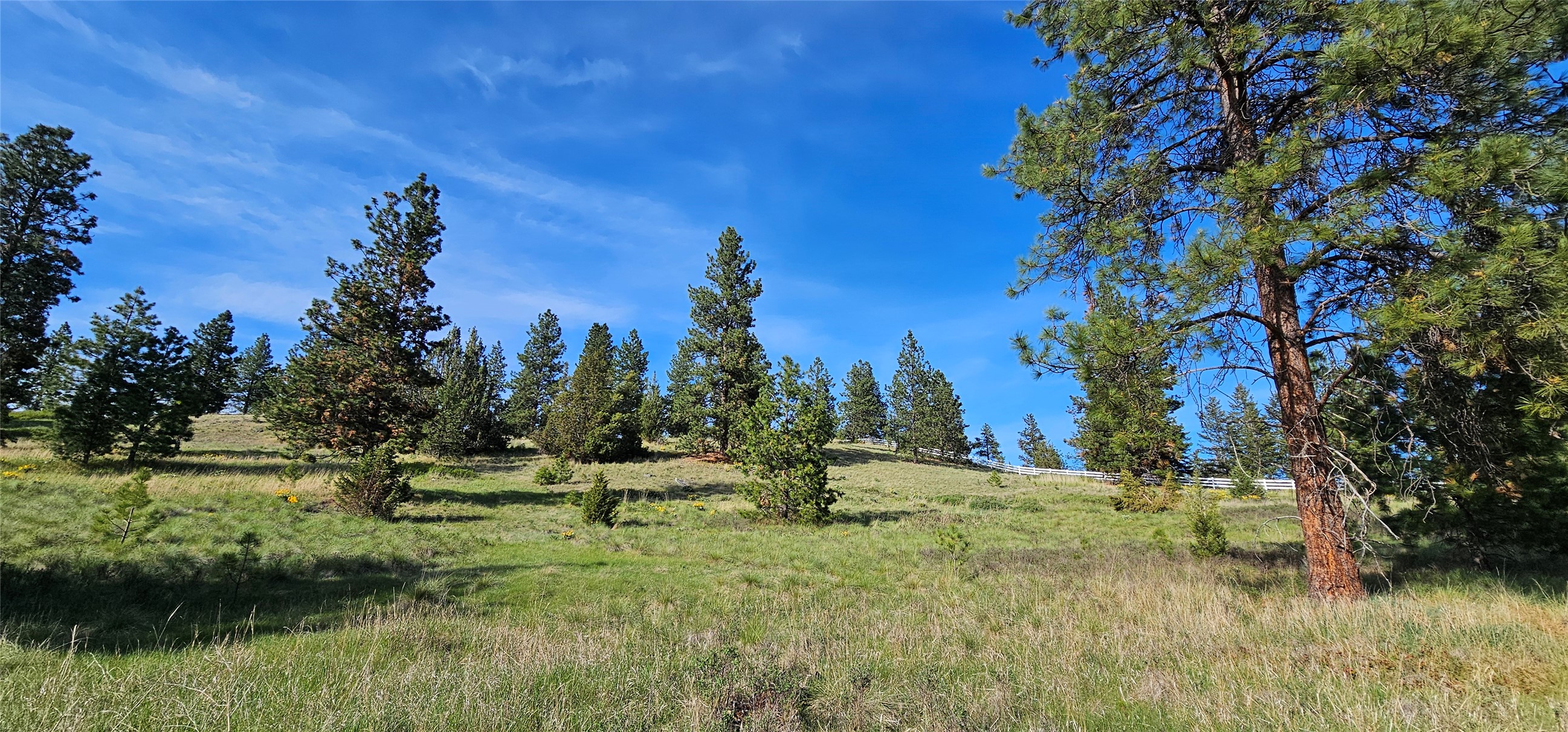 Polson, Montana 59860, United States, ,Land,Active,175284