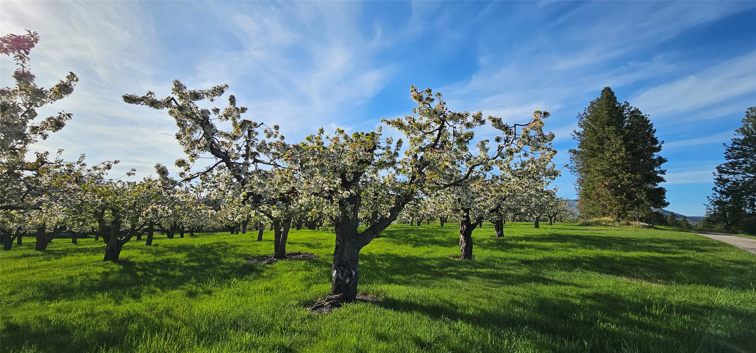 Polson, Montana 59860, United States, ,Land,Active,175284
