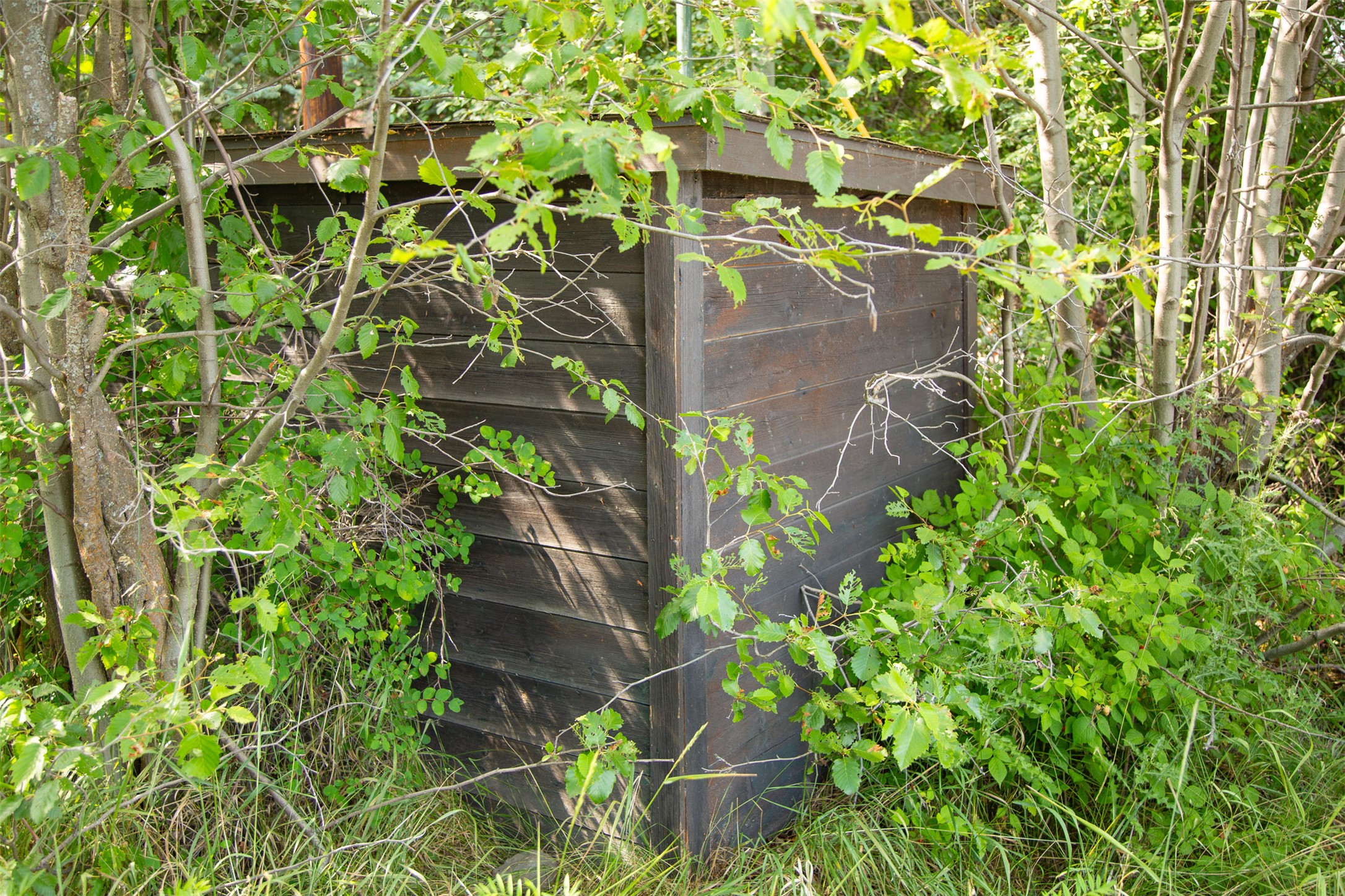 Polson, Montana 59860, United States, ,Land,Active,175284