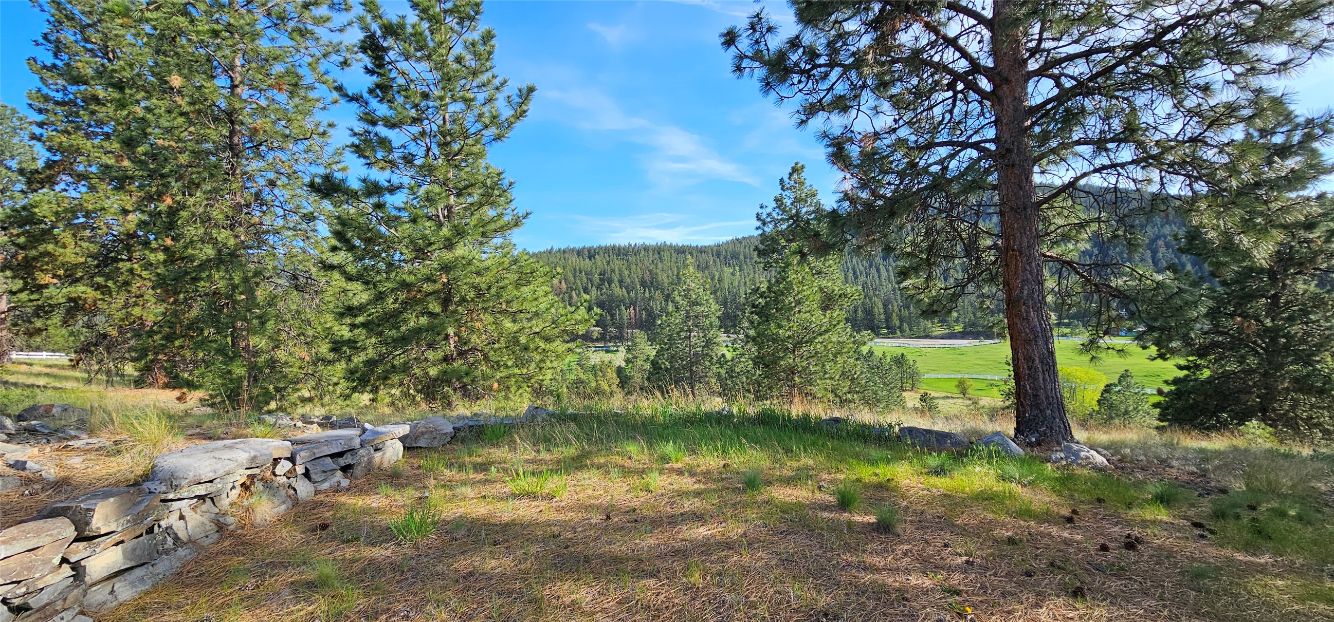 Polson, Montana 59860, United States, ,Land,Active,175284