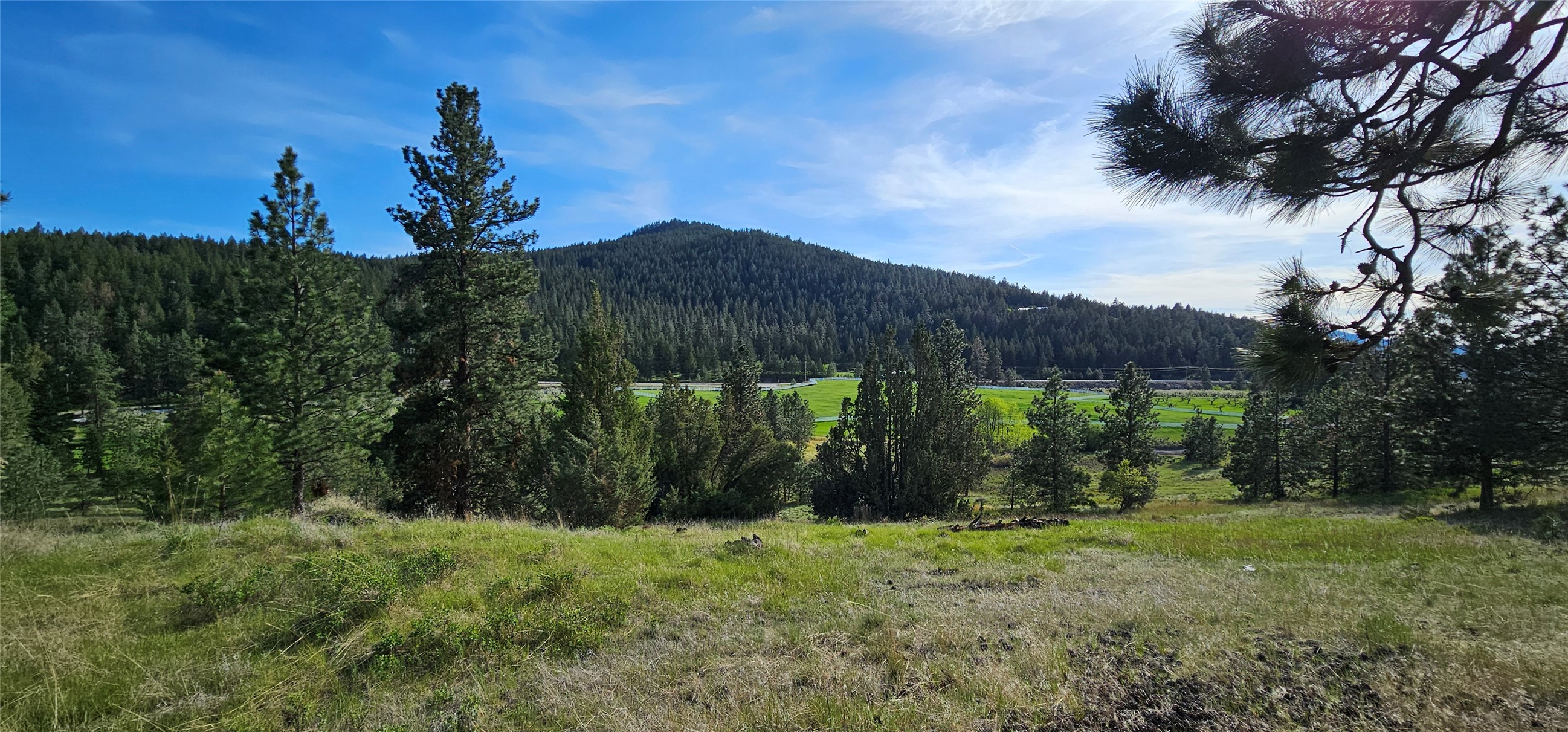 Polson, Montana 59860, United States, ,Land,Active,175284