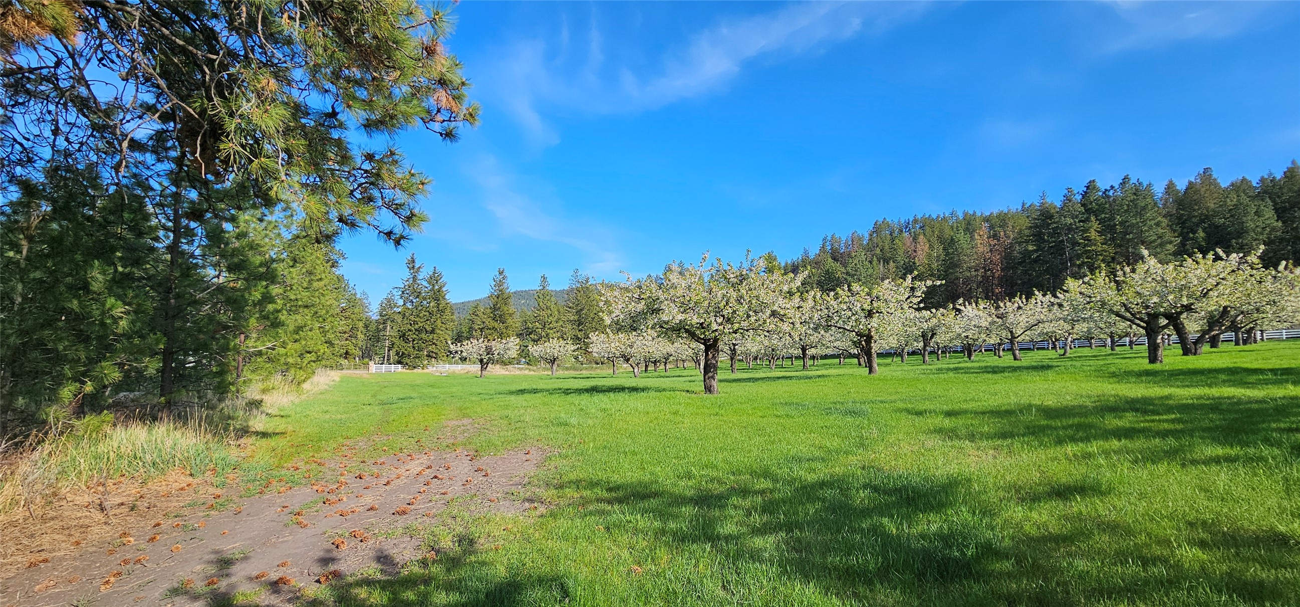 Polson, Montana 59860, United States, ,Land,Active,175284
