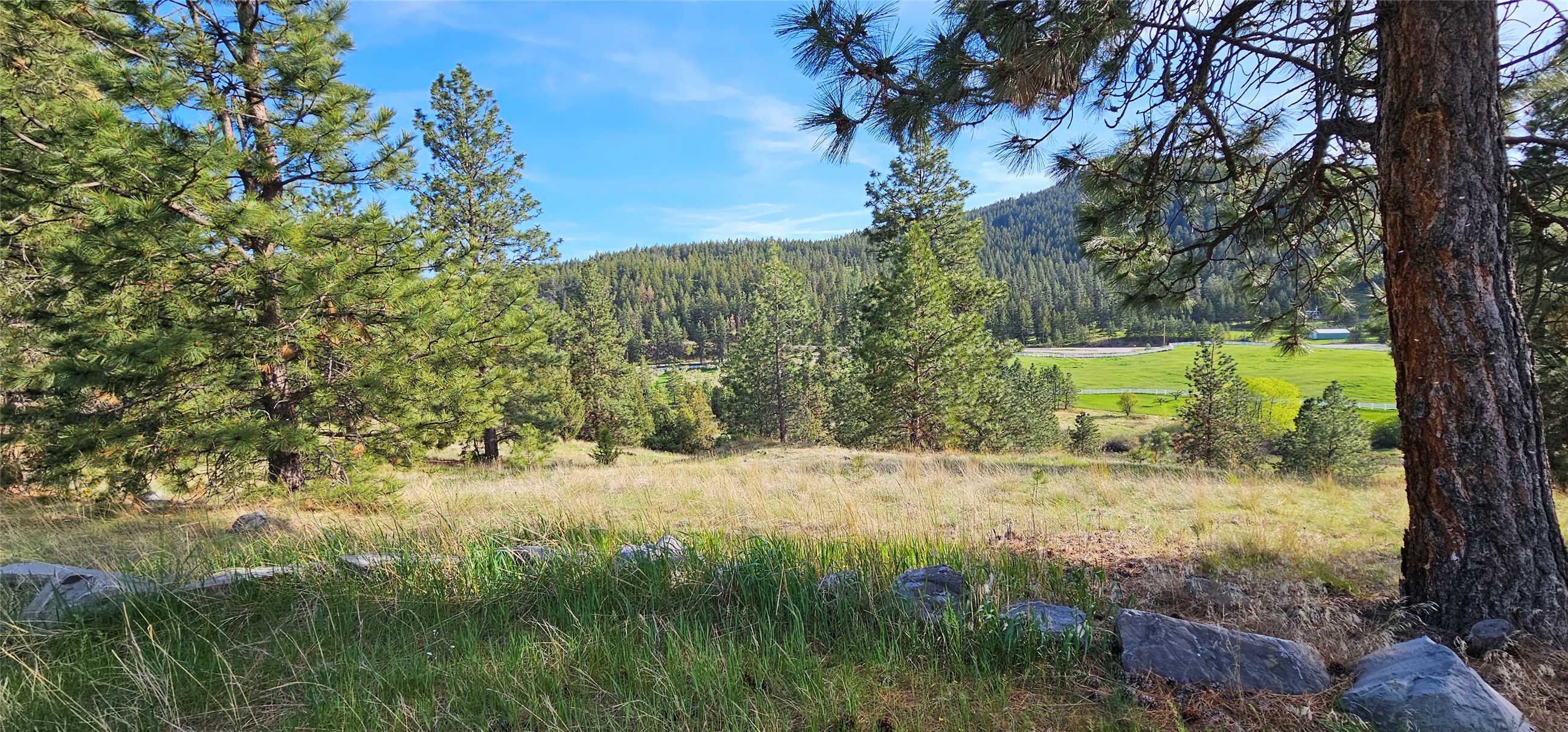 Polson, Montana 59860, United States, ,Land,Active,175284