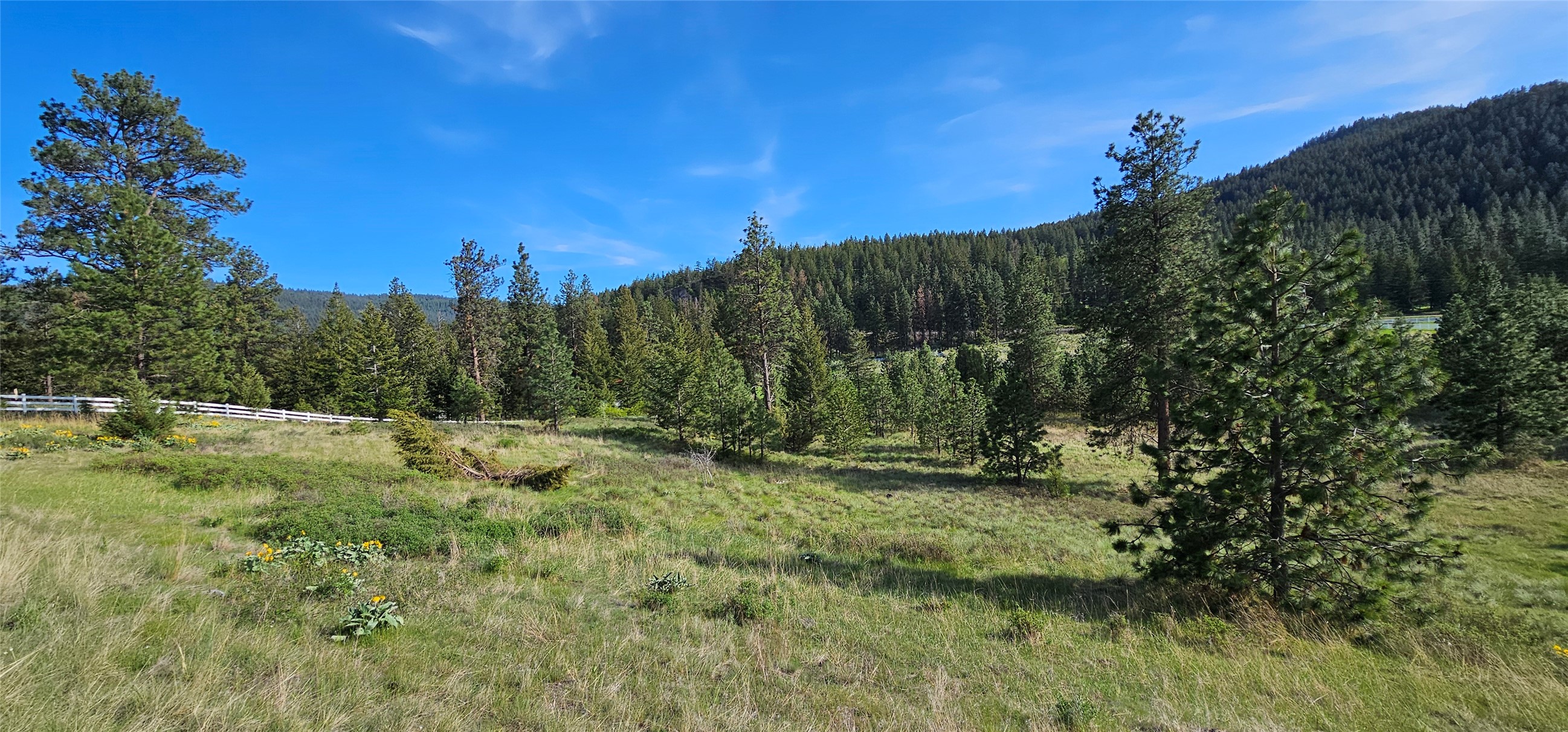 Polson, Montana 59860, United States, ,Land,Active,175284