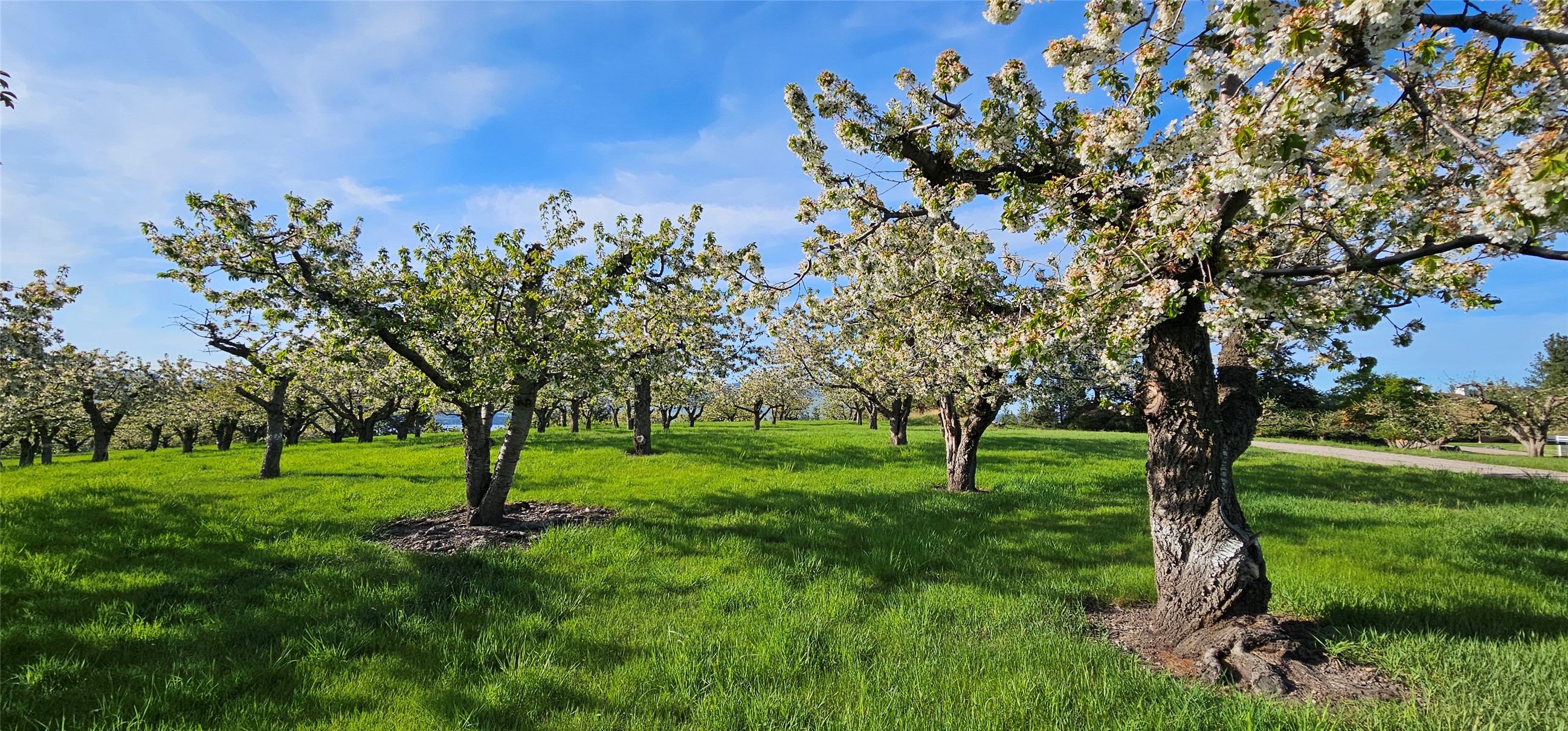 Polson, Montana 59860, United States, ,Land,Active,175284