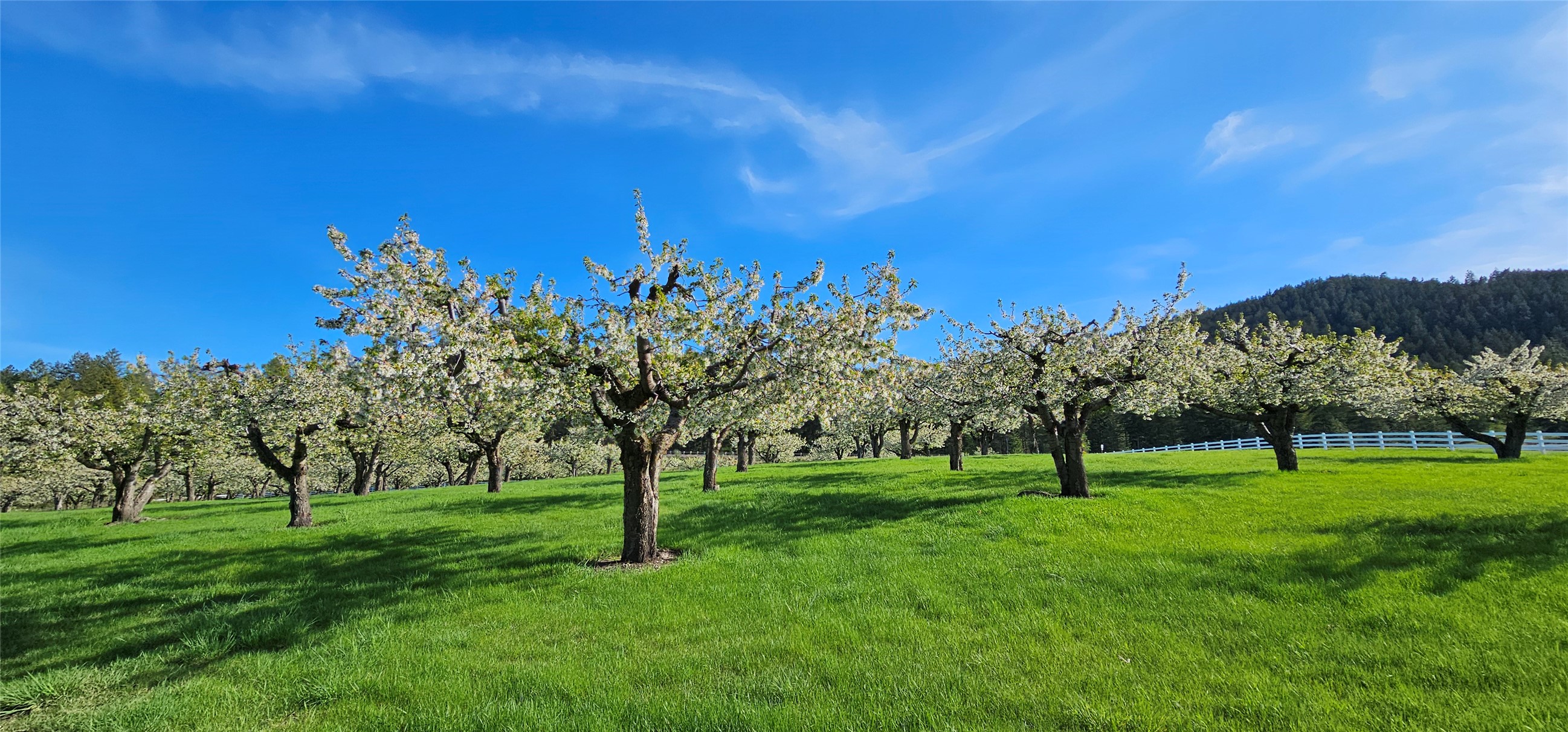 Polson, Montana 59860, United States, ,Land,Active,175284