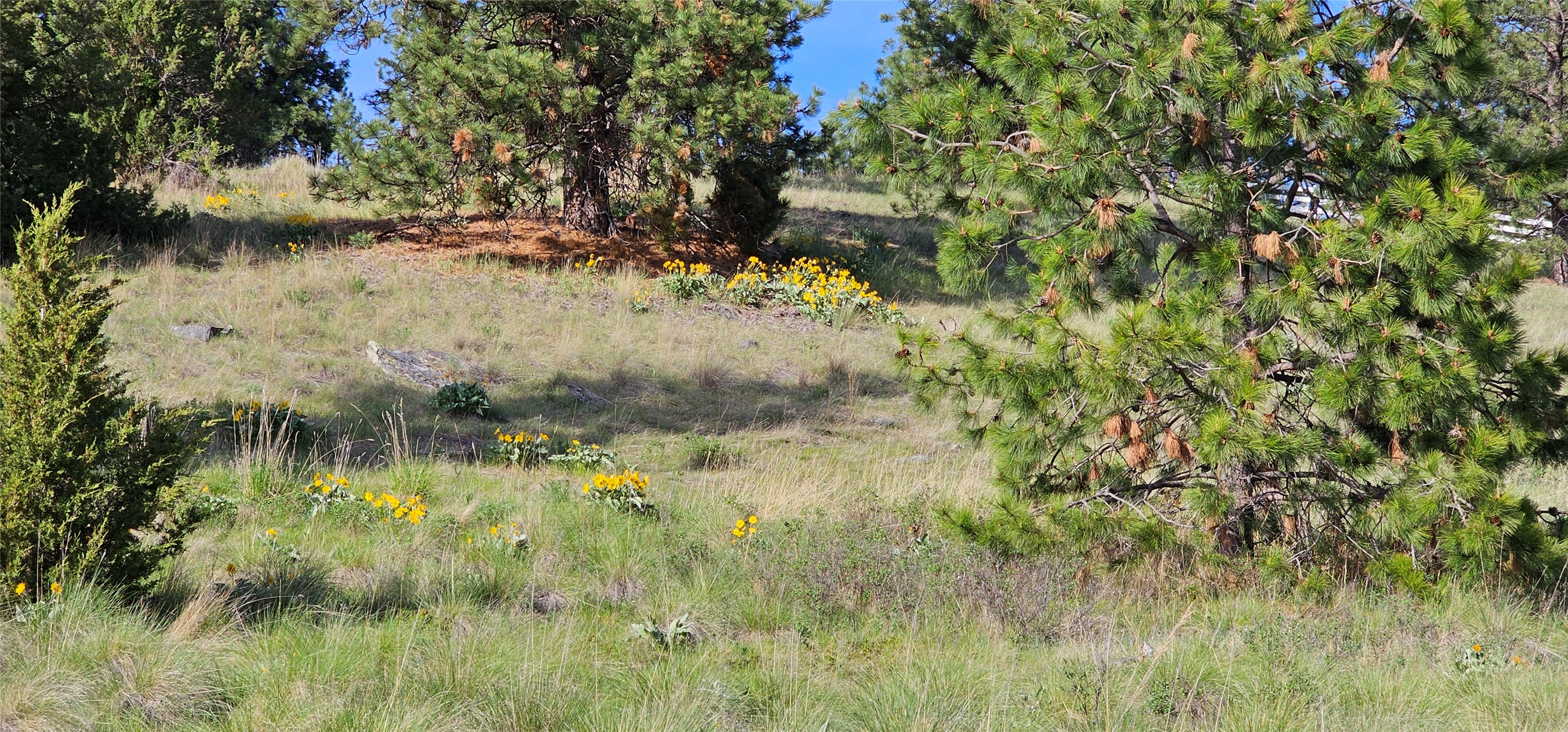 Polson, Montana 59860, United States, ,Land,Active,175284