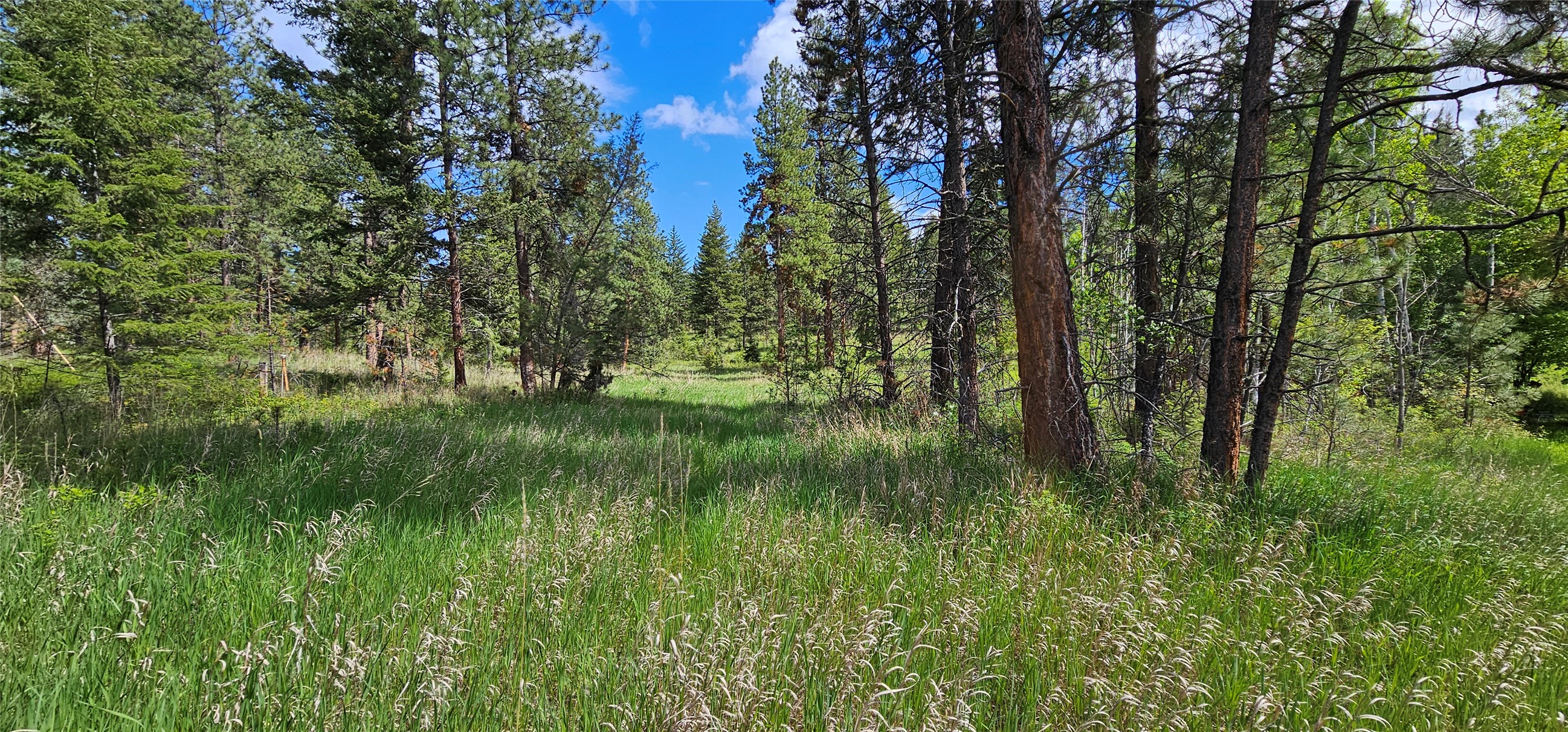 Polson, Montana 59860, United States, ,Land,Active,175284