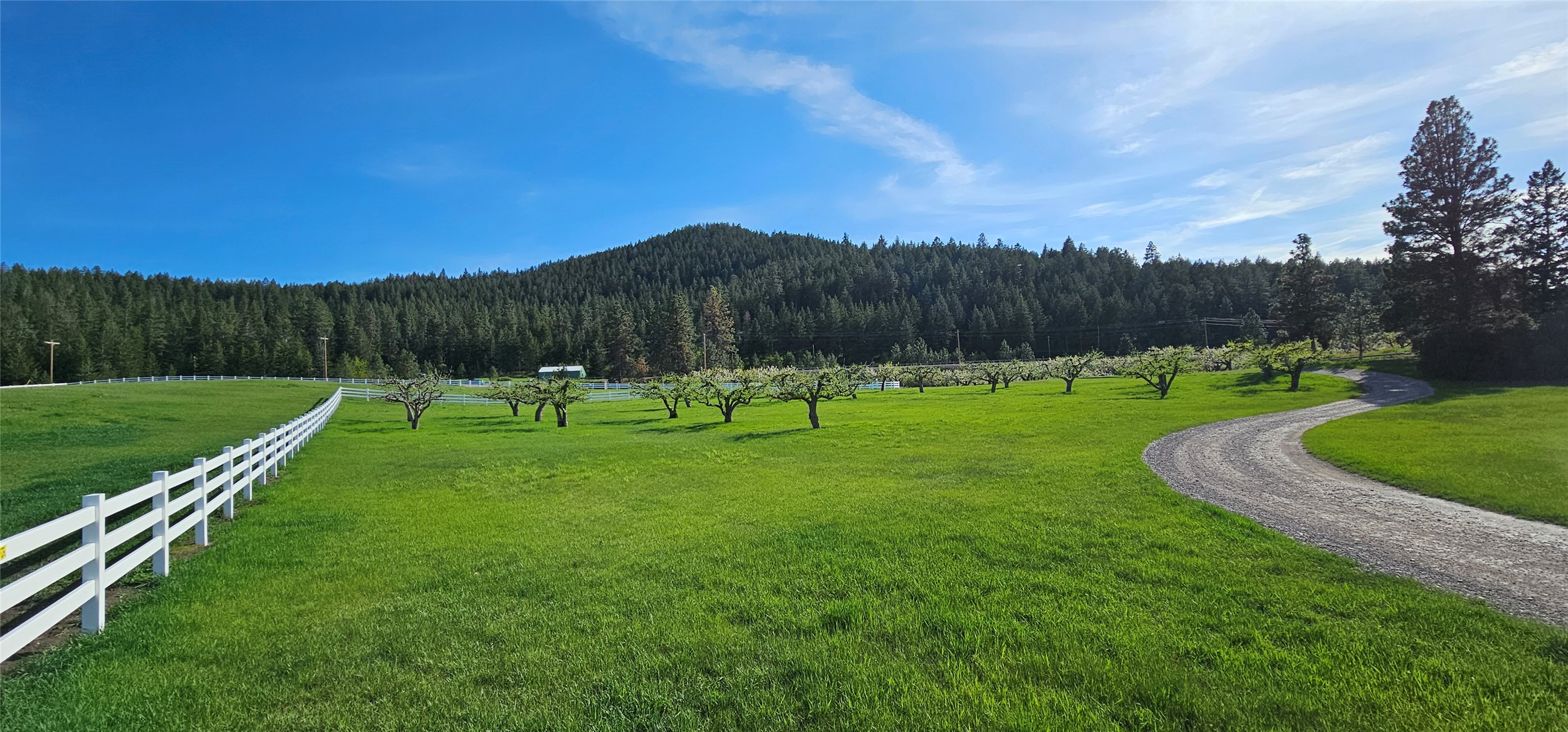 Polson, Montana 59860, United States, ,Land,Active,175284