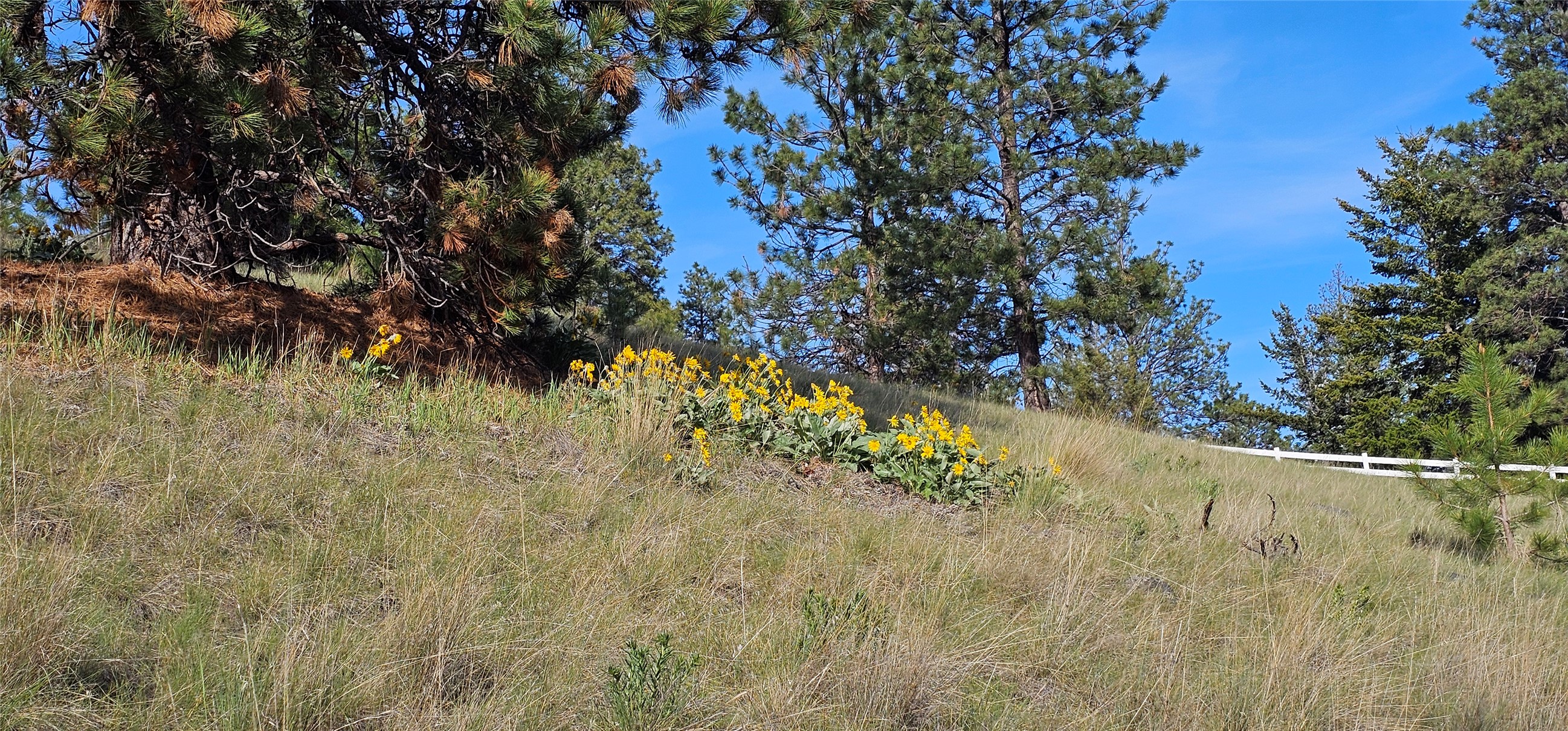 Polson, Montana 59860, United States, ,Land,Active,175284