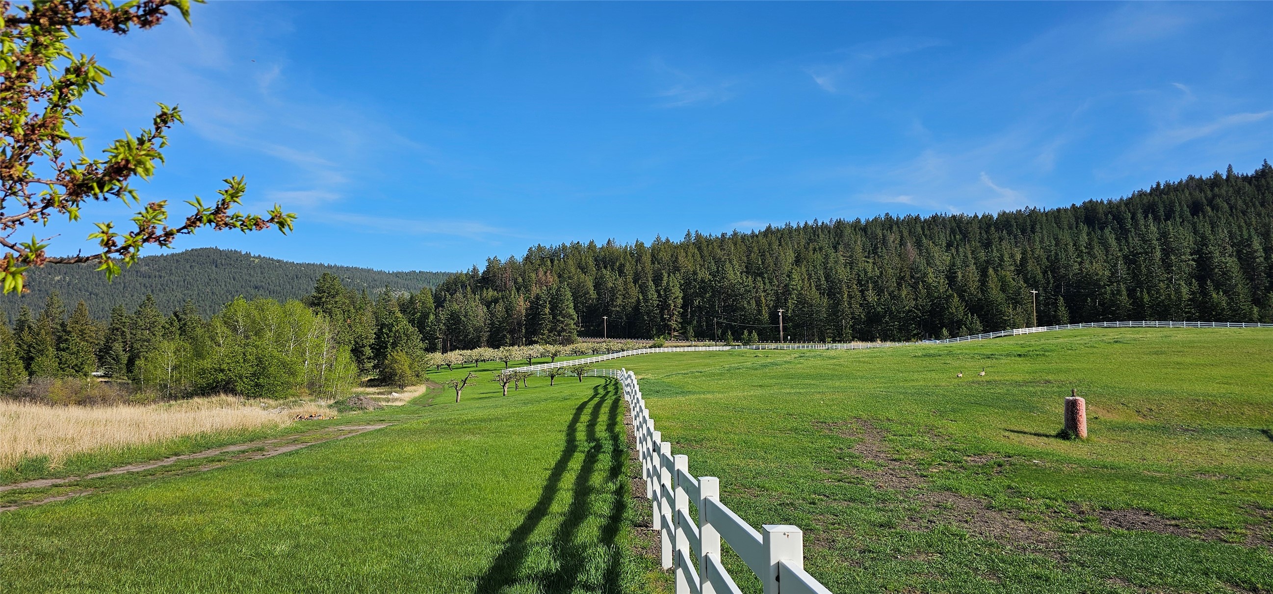 Polson, Montana 59860, United States, ,Land,Active,175284