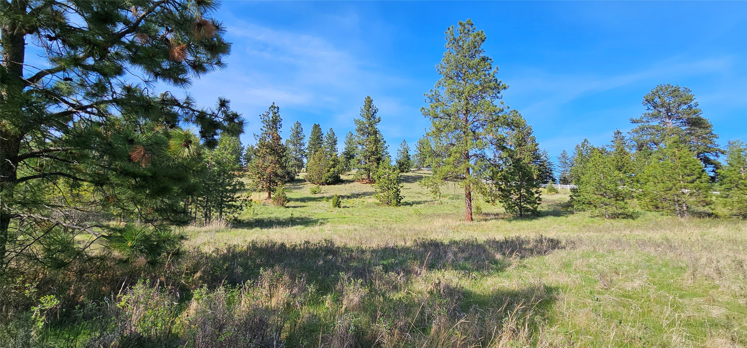 Polson, Montana 59860, United States, ,Land,Active,175284