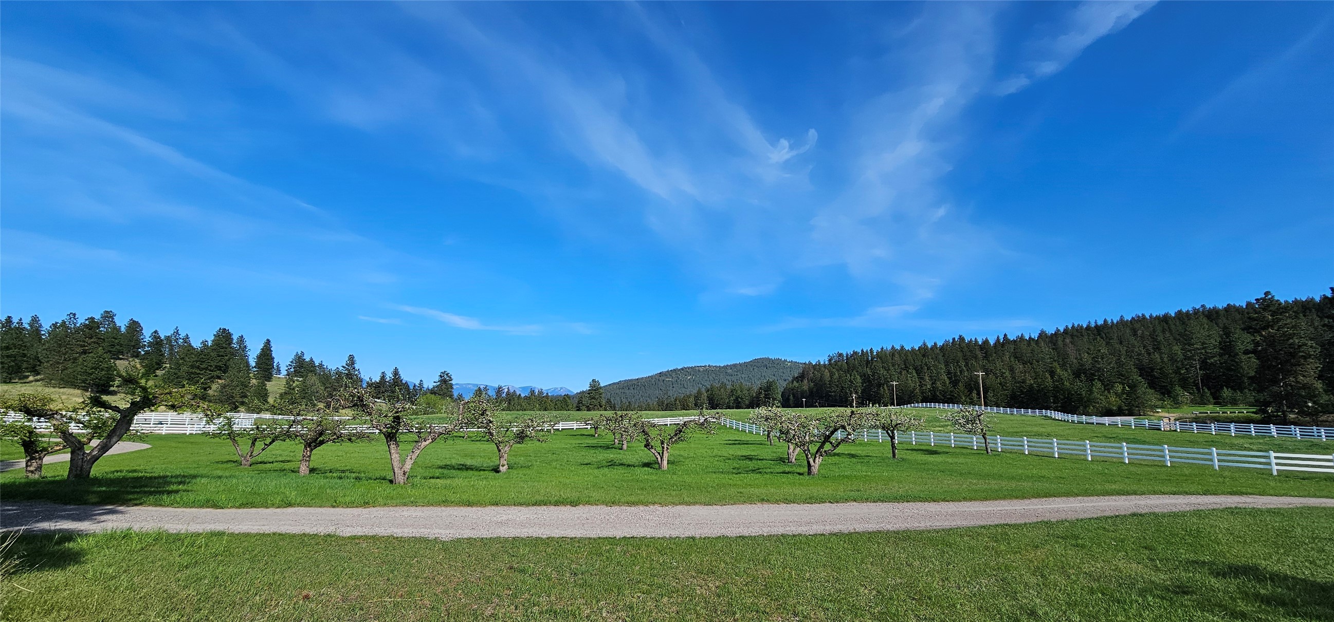 Polson, Montana 59860, United States, ,Land,Active,175284