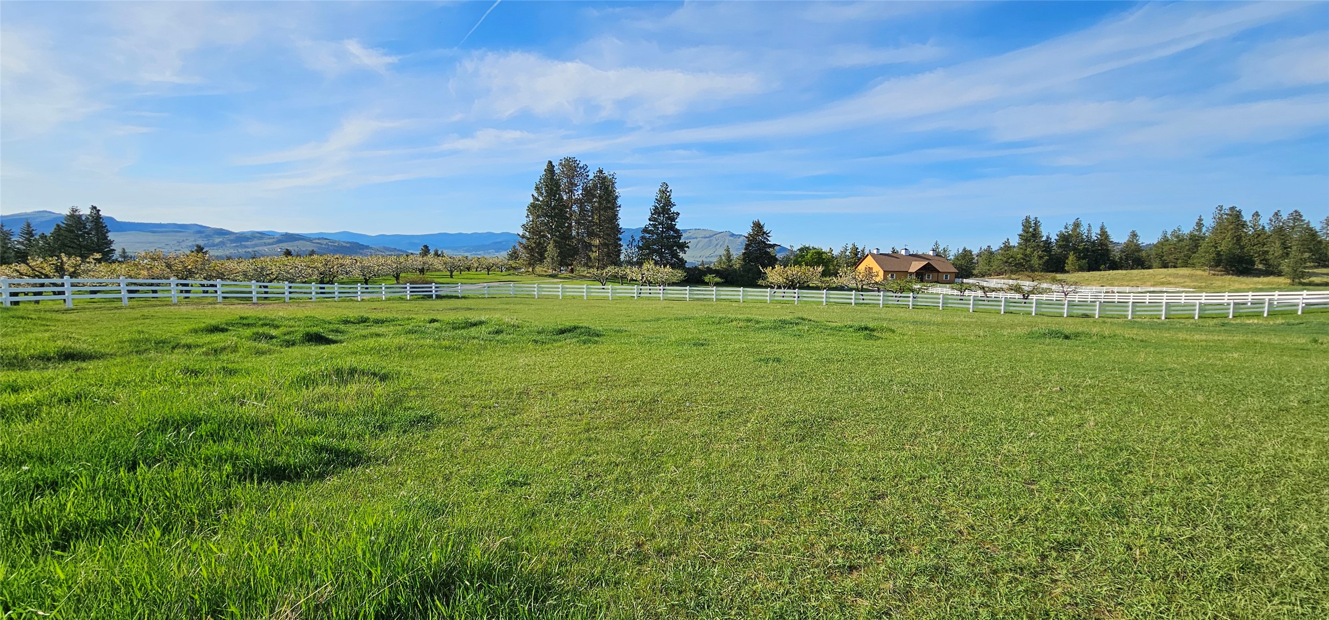 Polson, Montana 59860, United States, ,Land,Active,175284