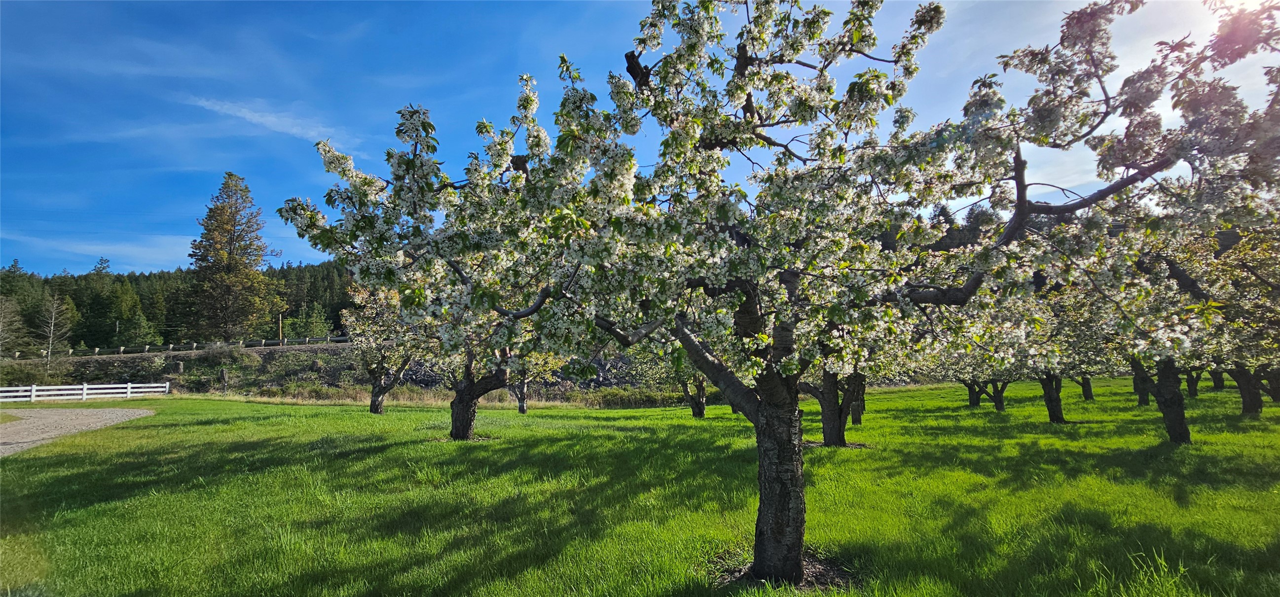 Polson, Montana 59860, United States, ,Land,Active,175284