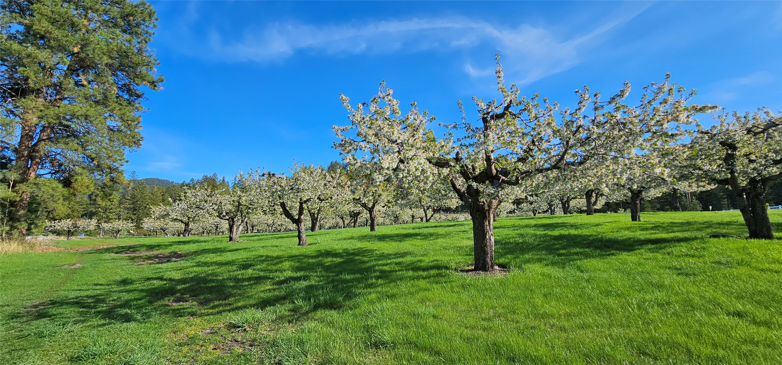 Polson, Montana 59860, United States, ,Land,Active,175284