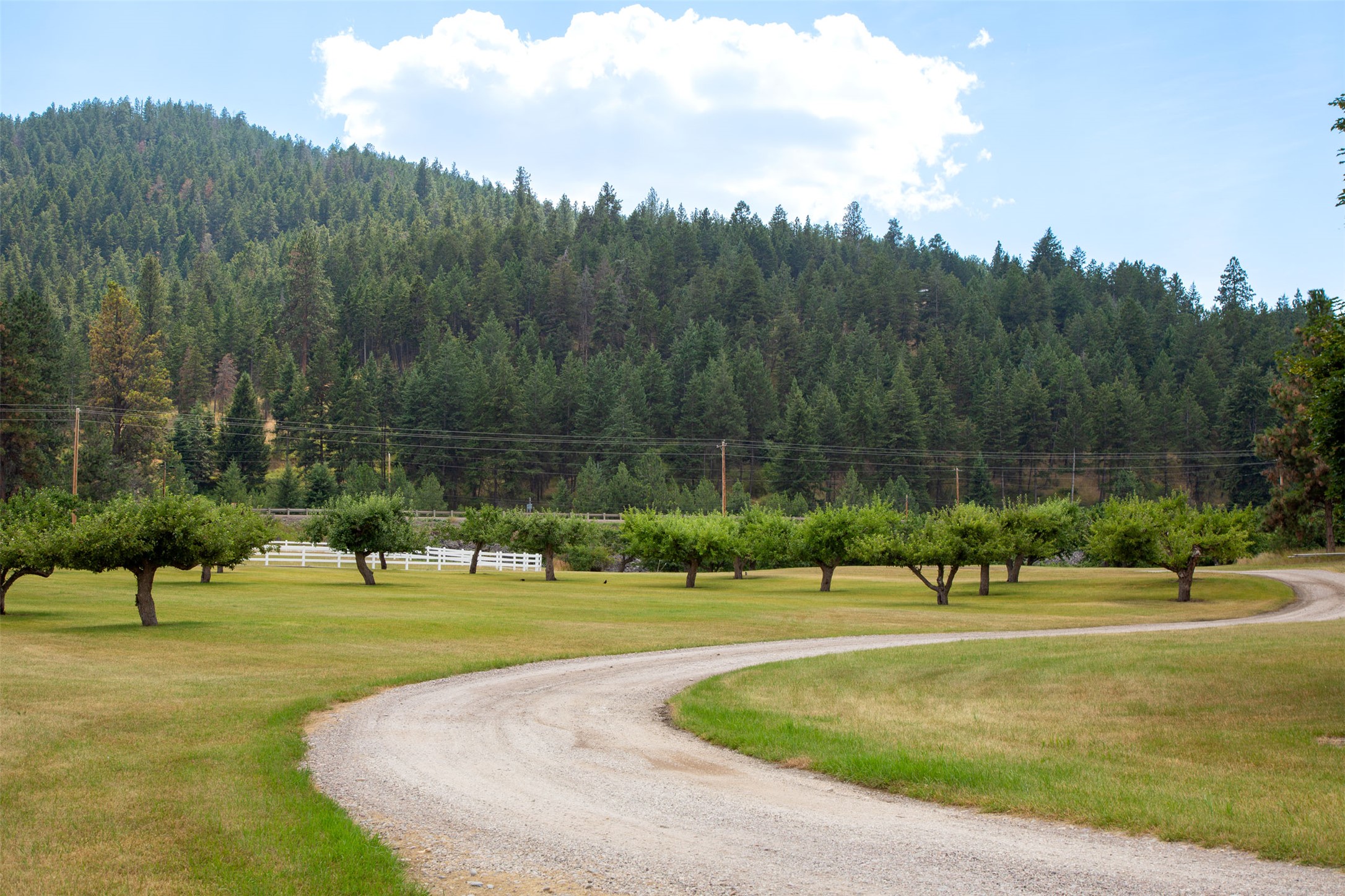Polson, Montana 59860, United States, ,Land,Active,175284