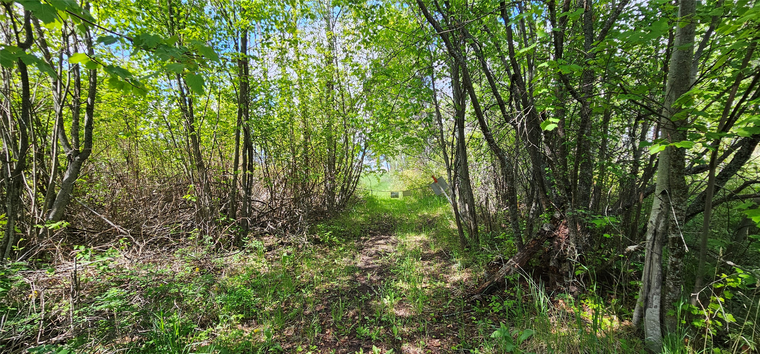 Polson, Montana 59860, United States, ,Land,Active,175284