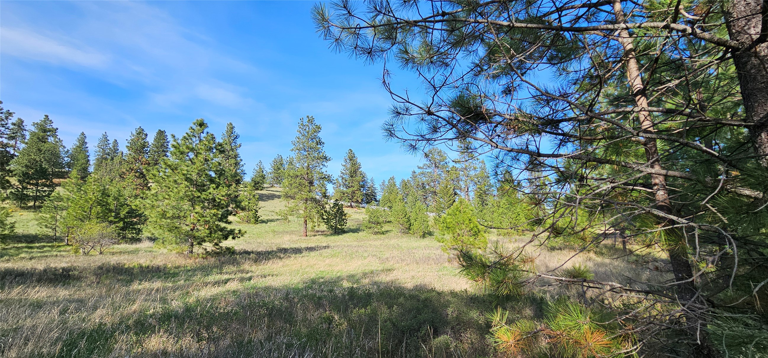 Polson, Montana 59860, United States, ,Land,Active,175284