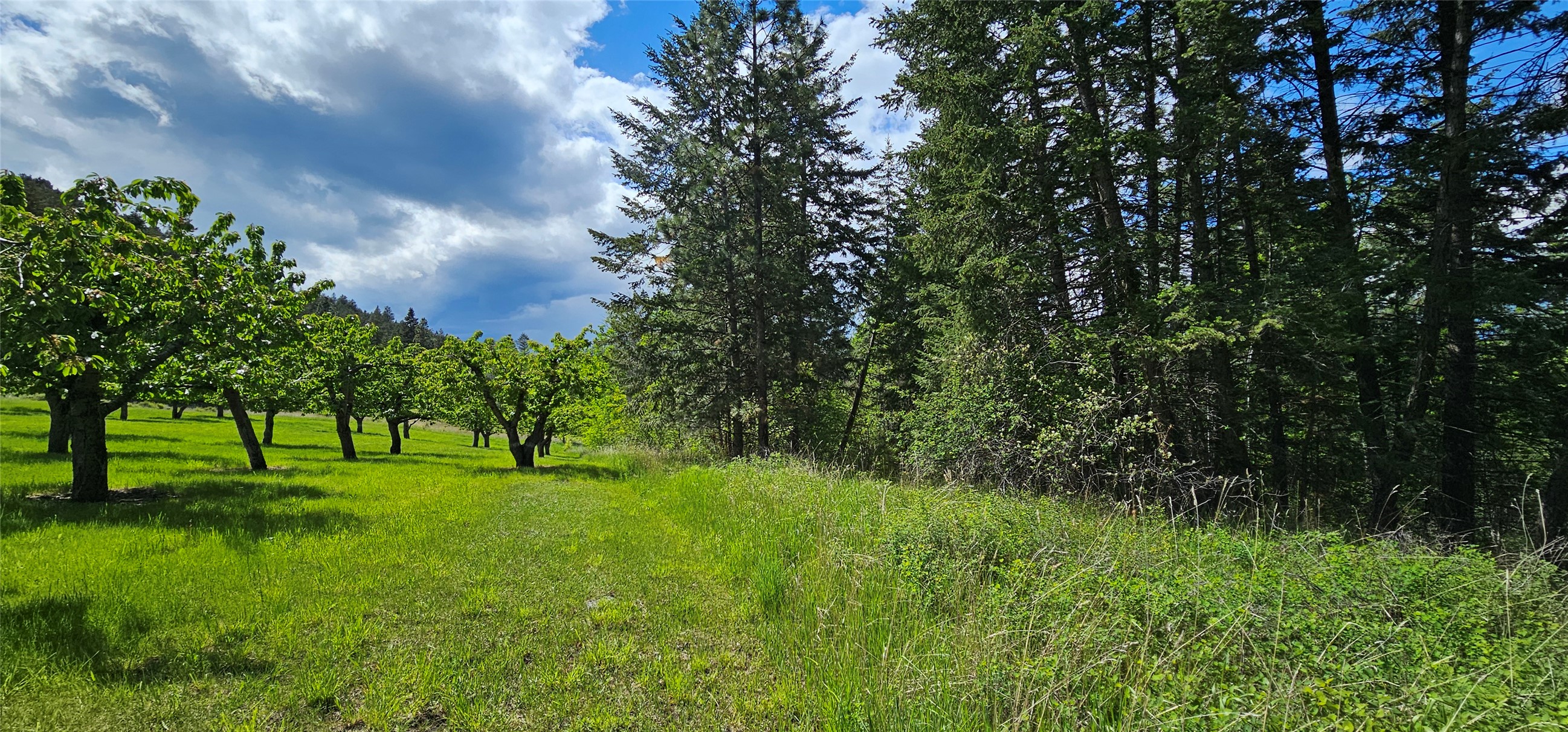 Polson, Montana 59860, United States, ,Land,Active,175284