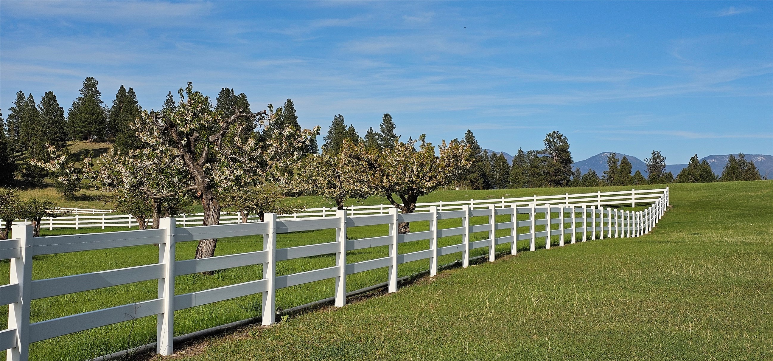 Polson, Montana 59860, United States, ,Land,Active,175284
