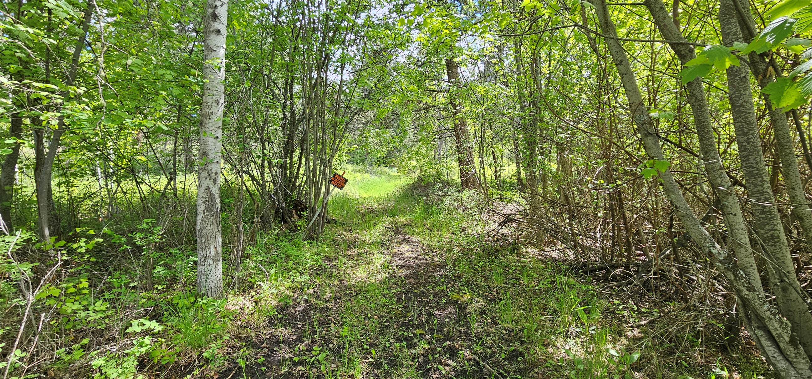 Polson, Montana 59860, United States, ,Land,Active,175284