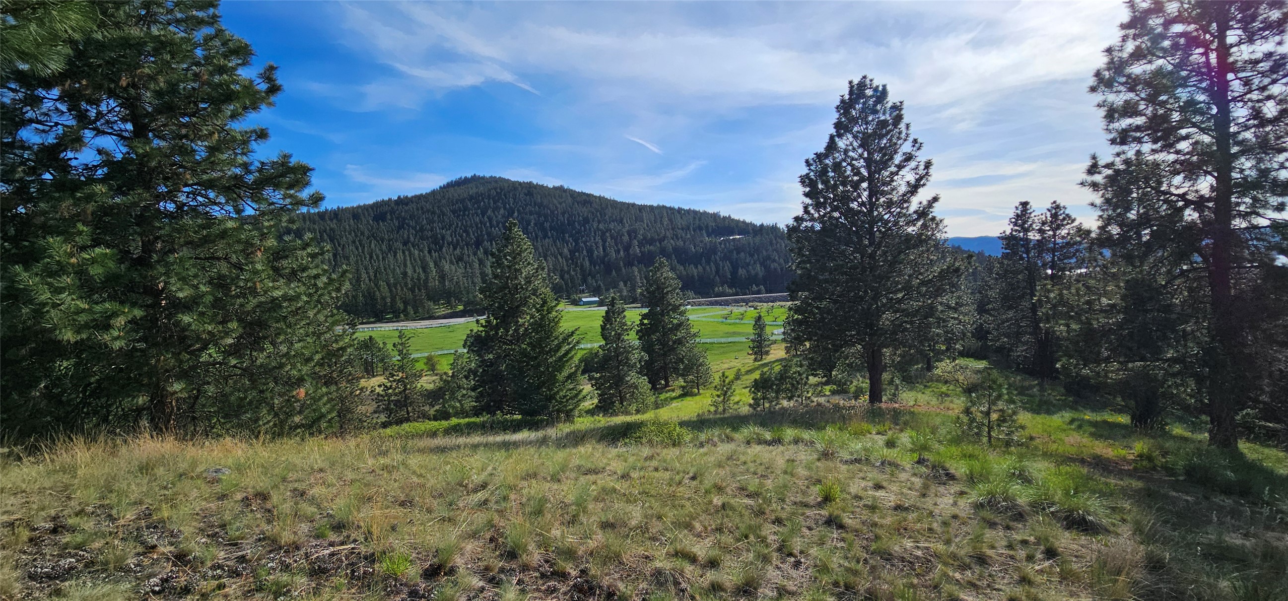 Polson, Montana 59860, United States, ,Land,Active,175284