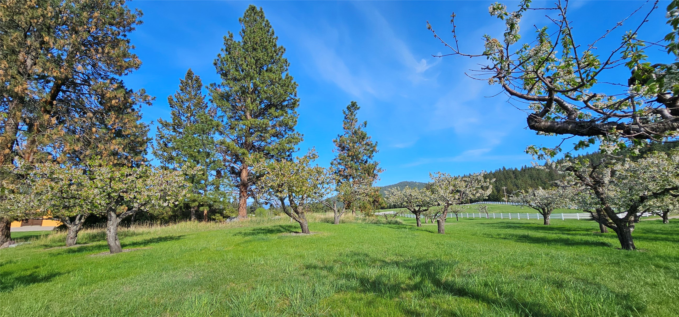 Polson, Montana 59860, United States, ,Land,Active,175284