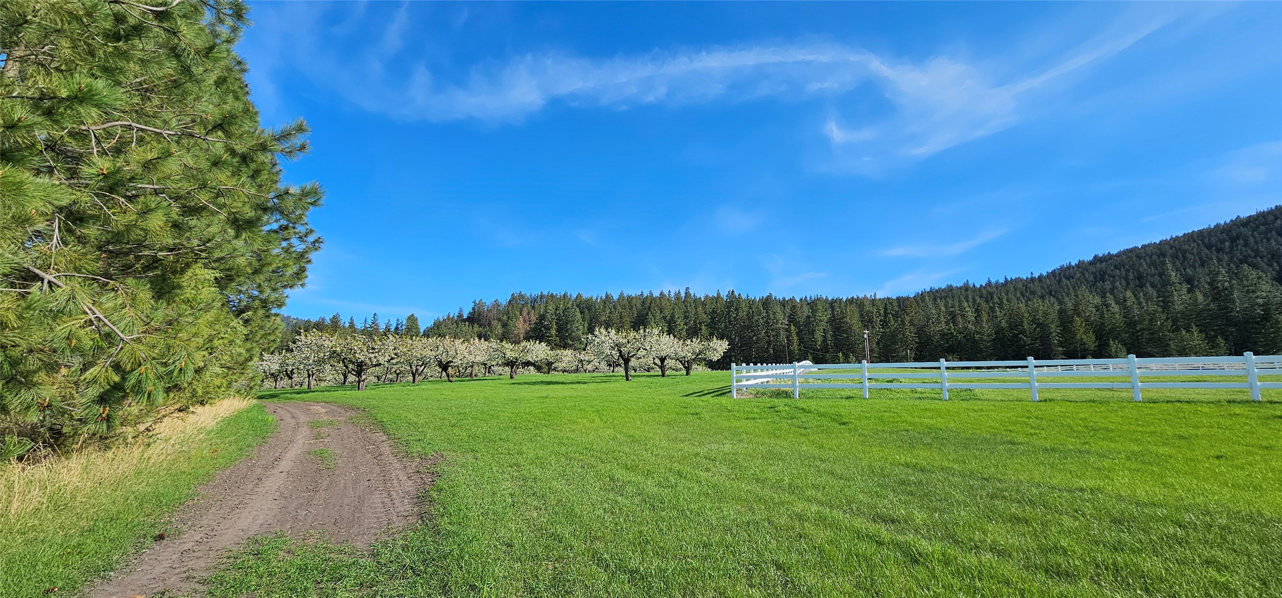 Polson, Montana 59860, United States, ,Land,Active,175284