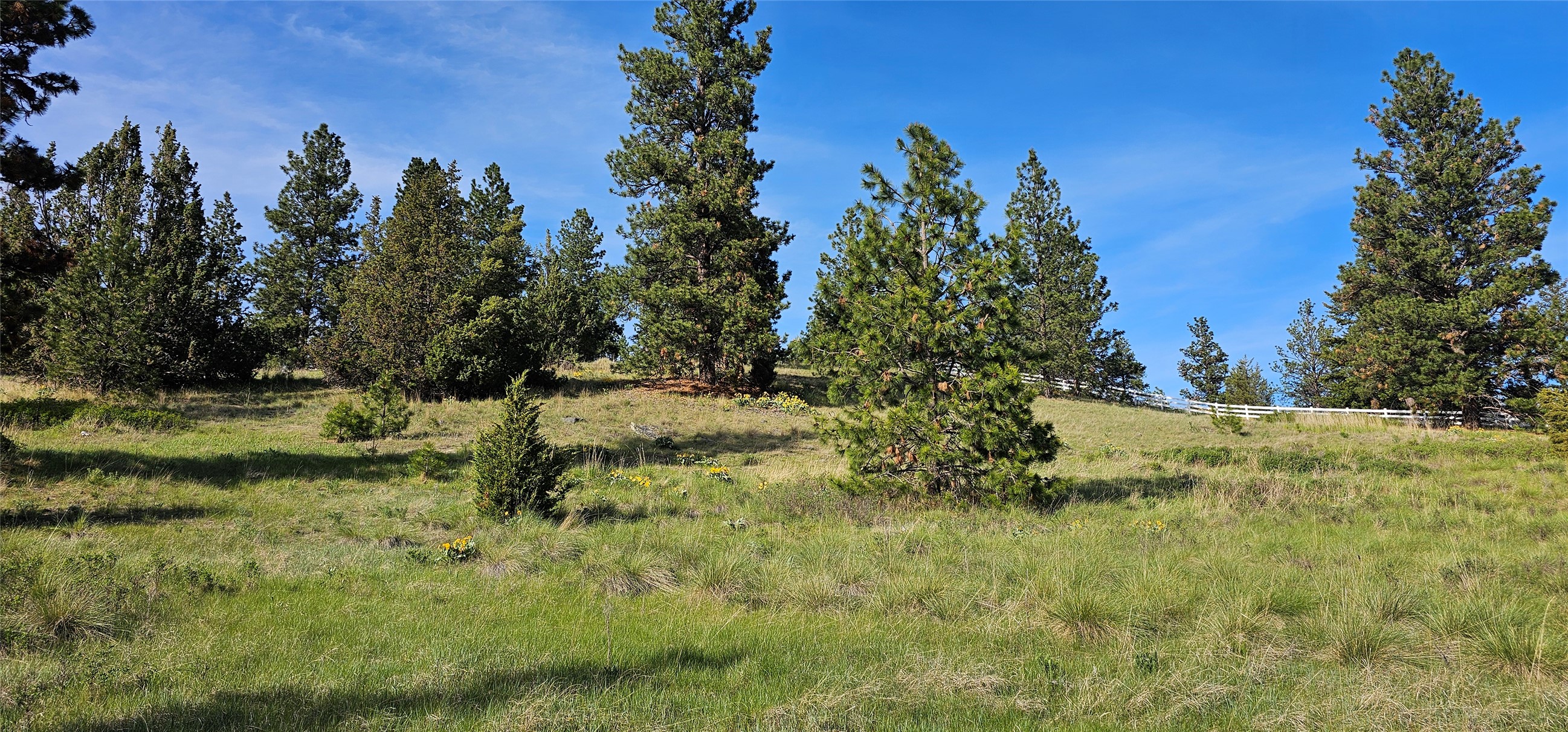 Polson, Montana 59860, United States, ,Land,Active,175284