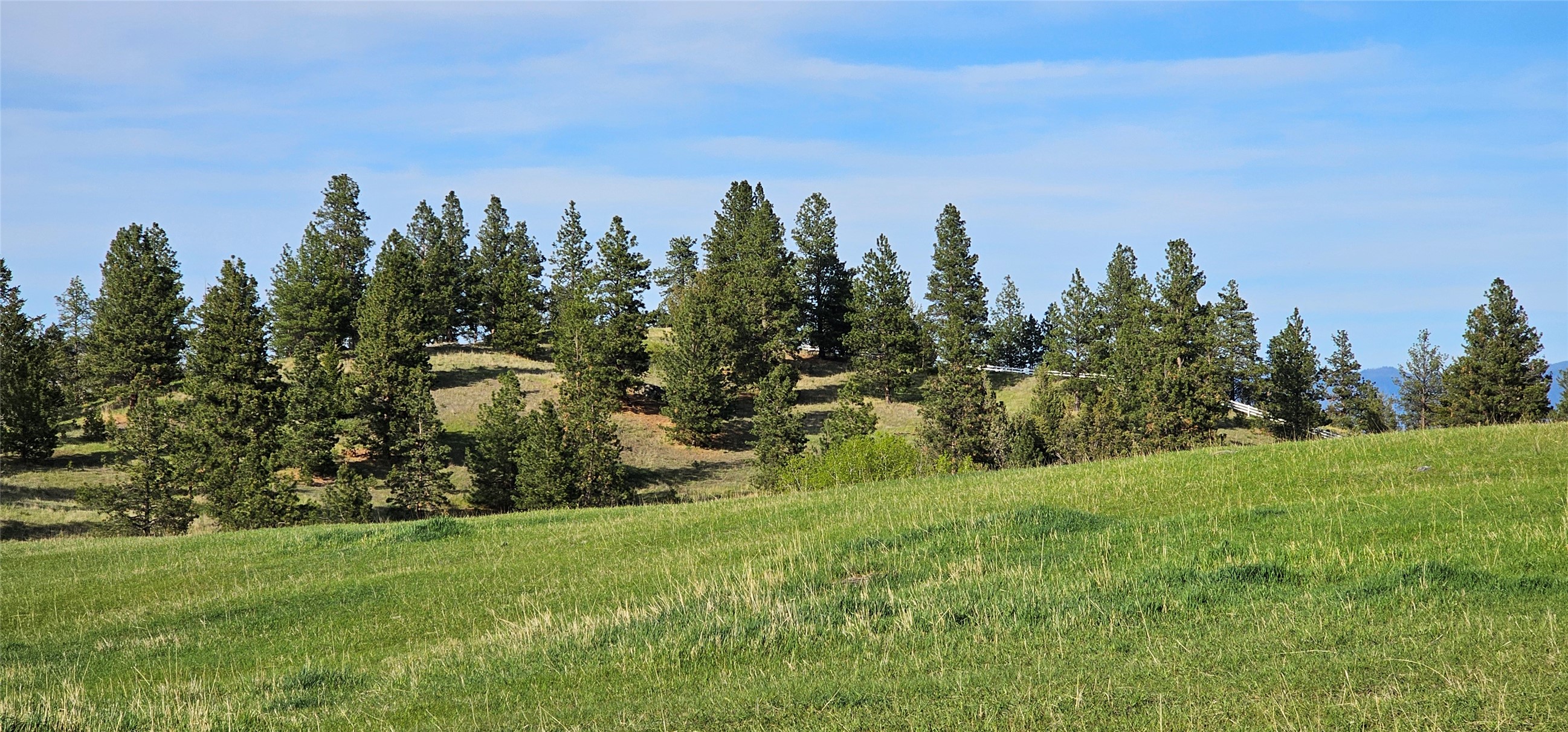 Polson, Montana 59860, United States, ,Land,Active,175284