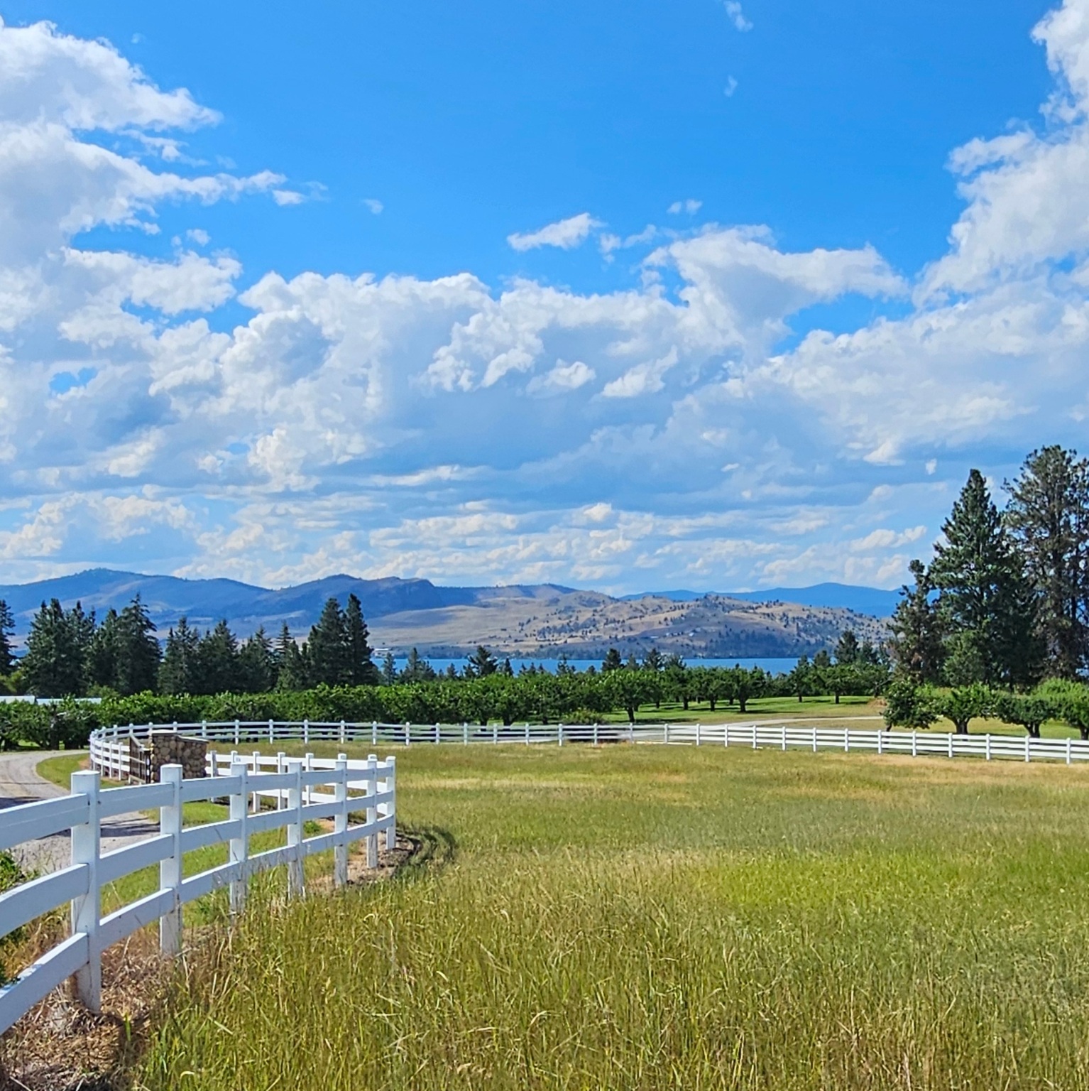 Polson, Montana 59860, United States, ,Land,Active,175284