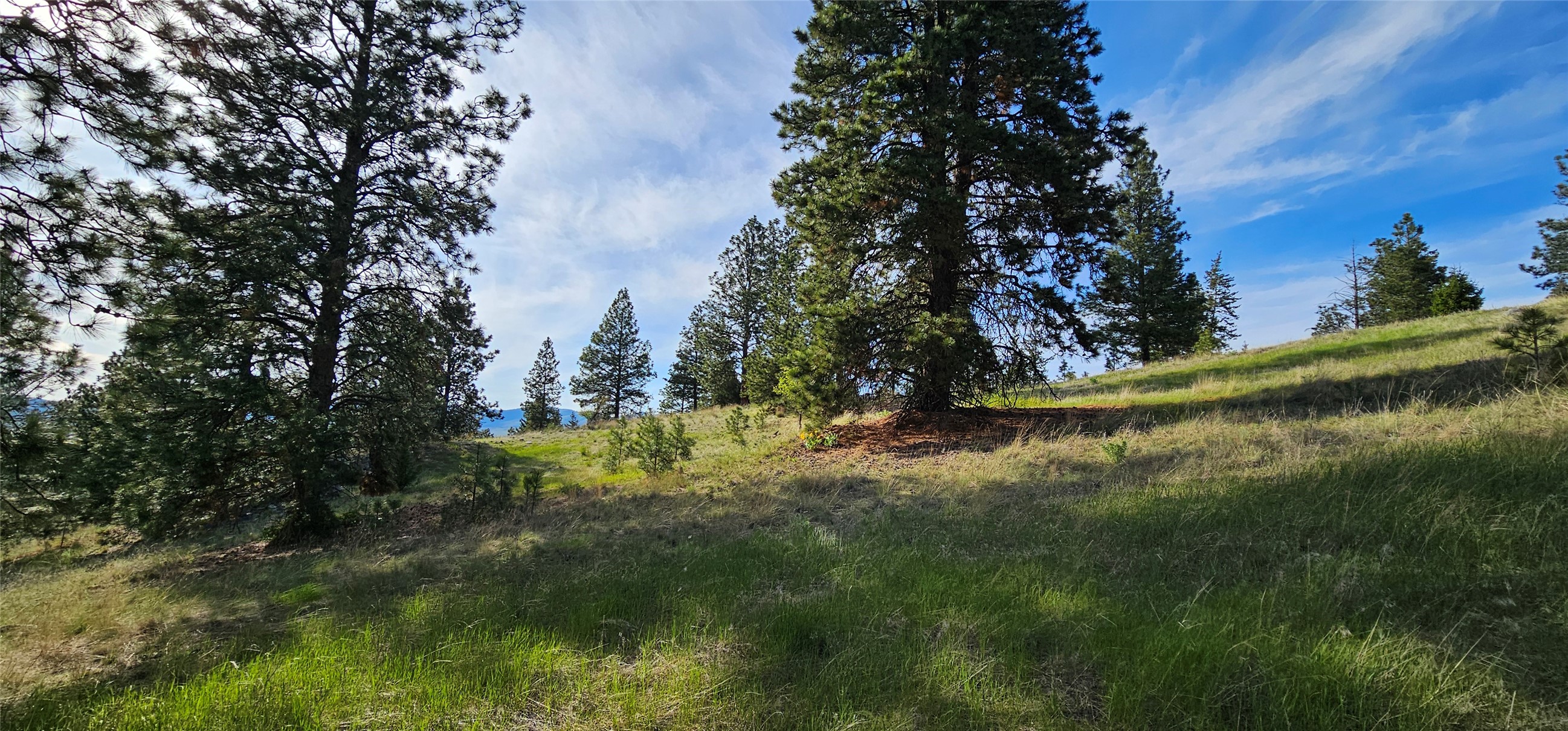 Polson, Montana 59860, United States, ,Land,Active,175284