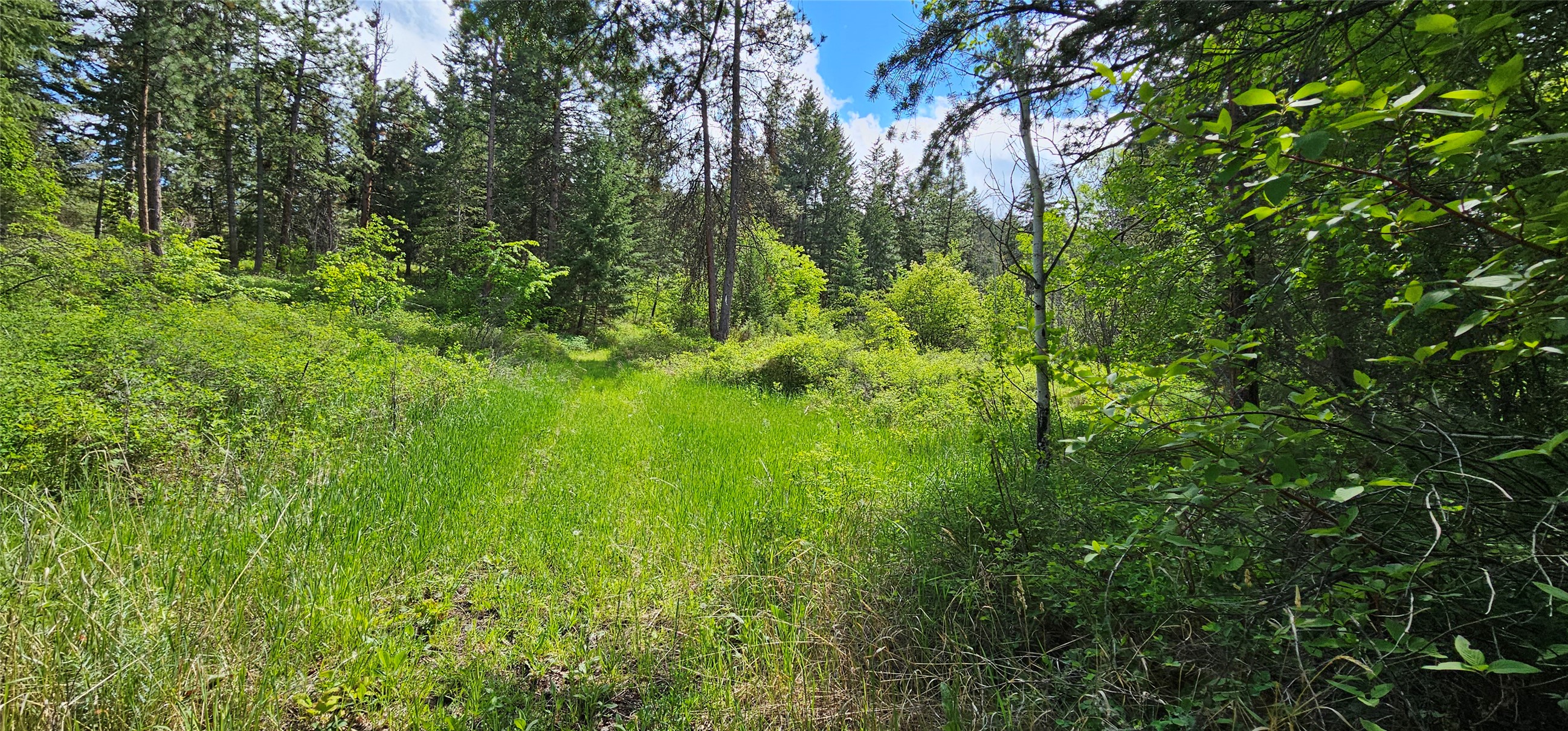 Polson, Montana 59860, United States, ,Land,Active,175284