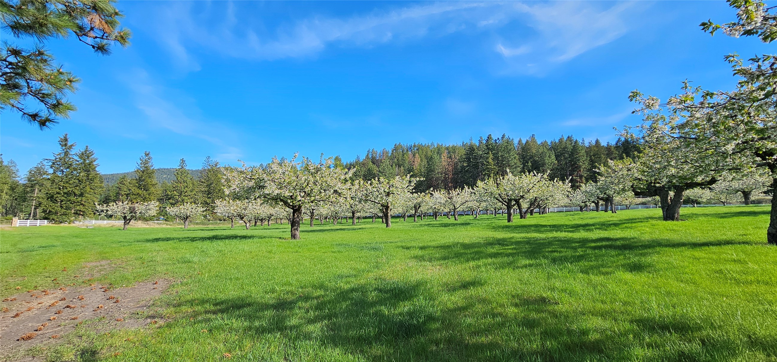 Polson, Montana 59860, United States, ,Land,Active,175284