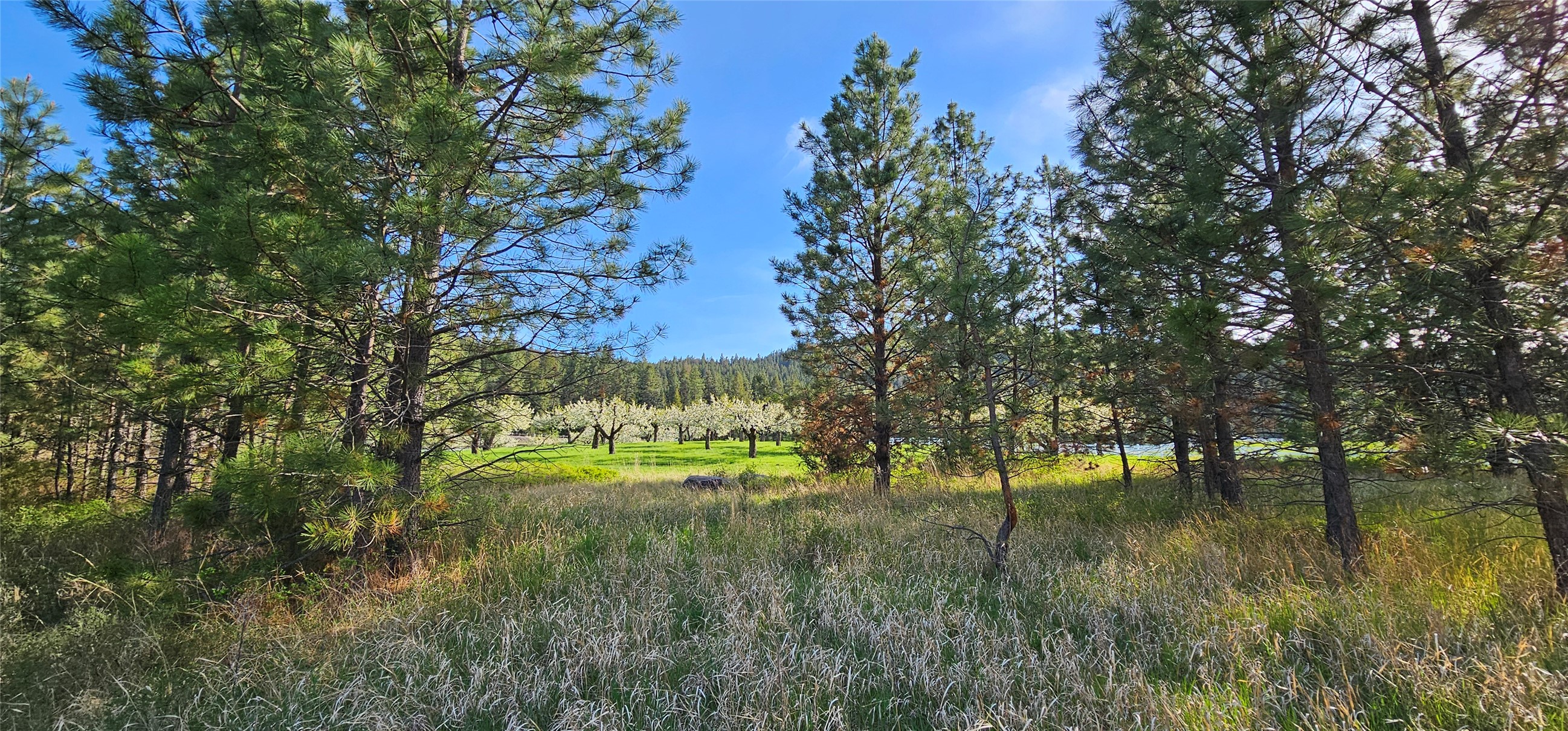 Polson, Montana 59860, United States, ,Land,Active,175284