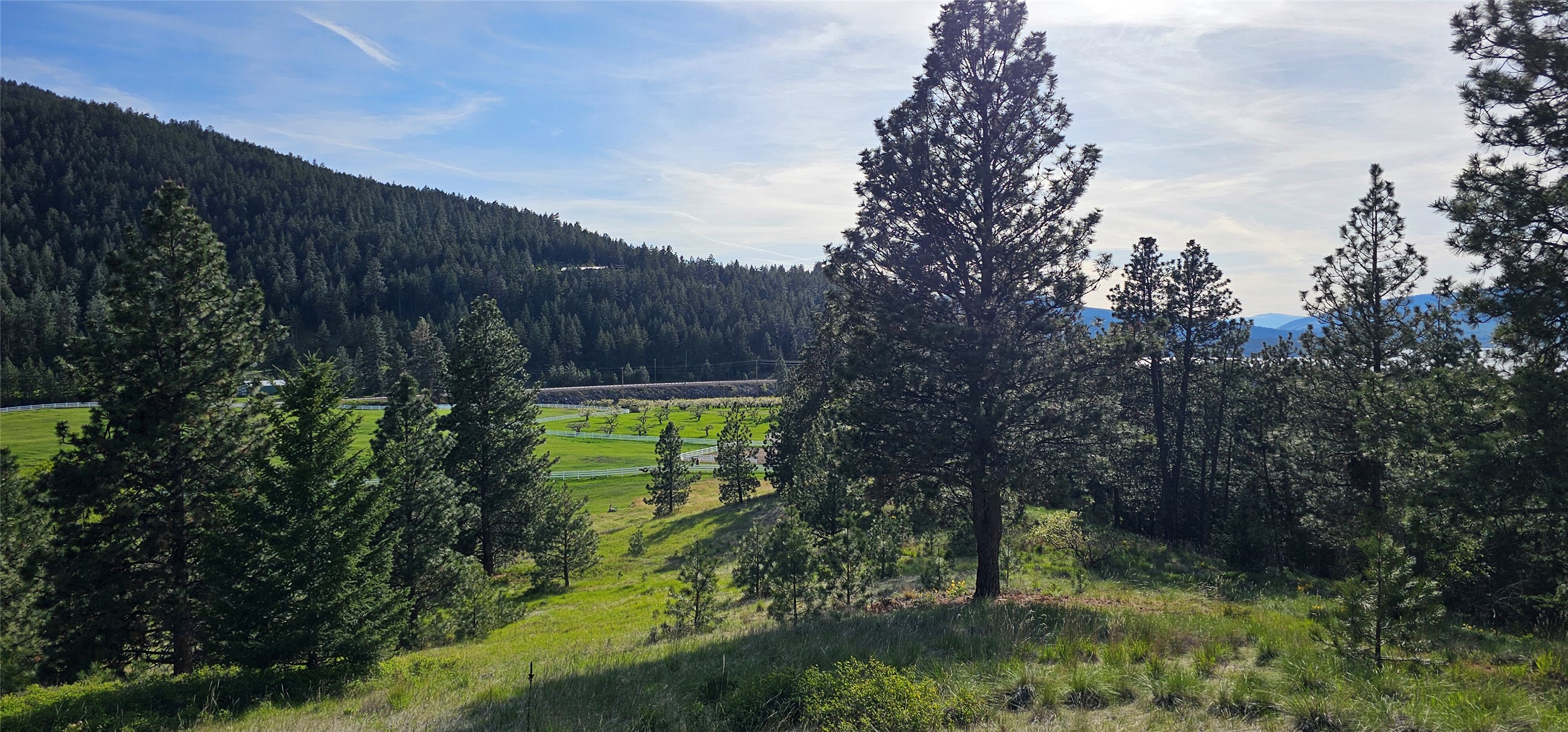 Polson, Montana 59860, United States, ,Land,Active,175284