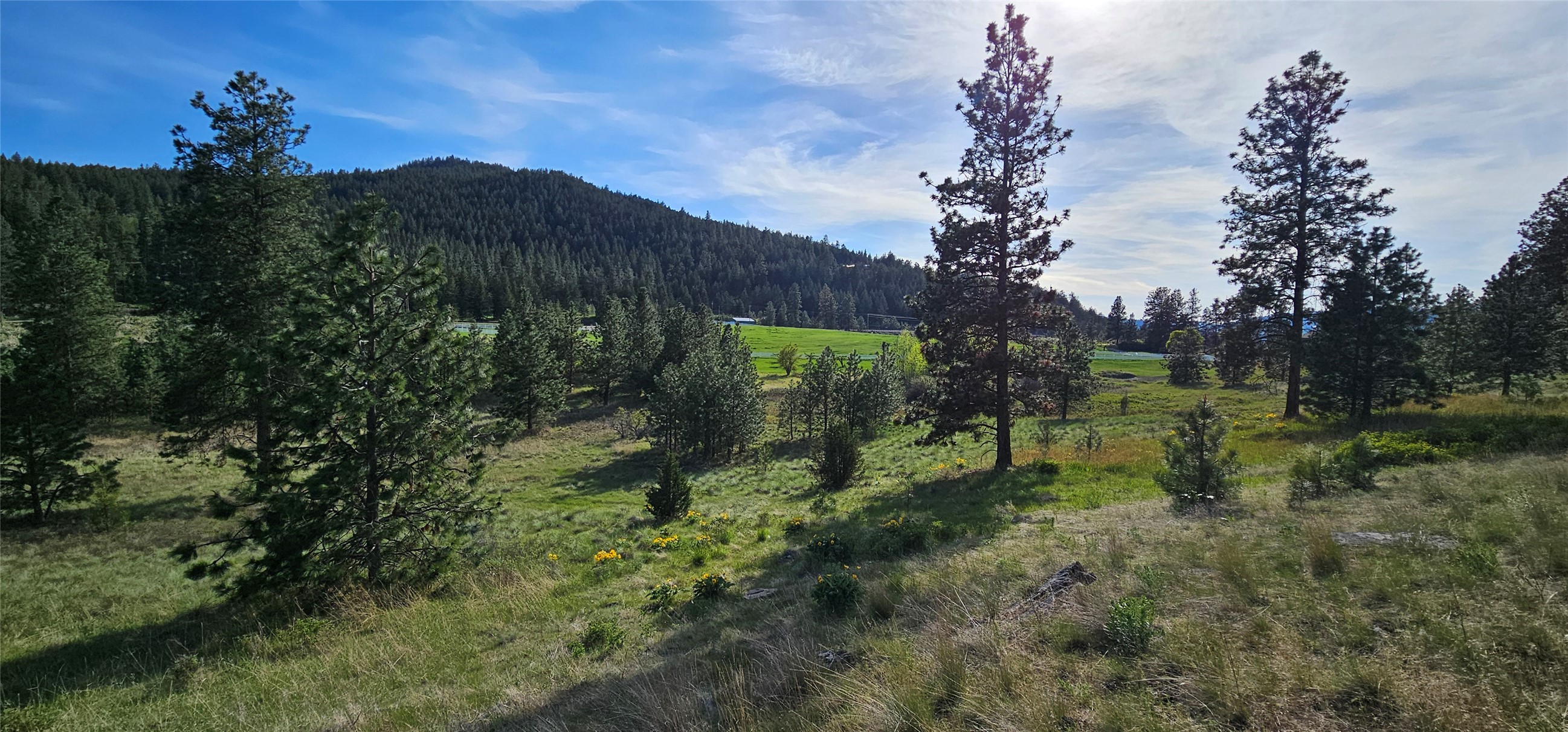 Polson, Montana 59860, United States, ,Land,Active,175284