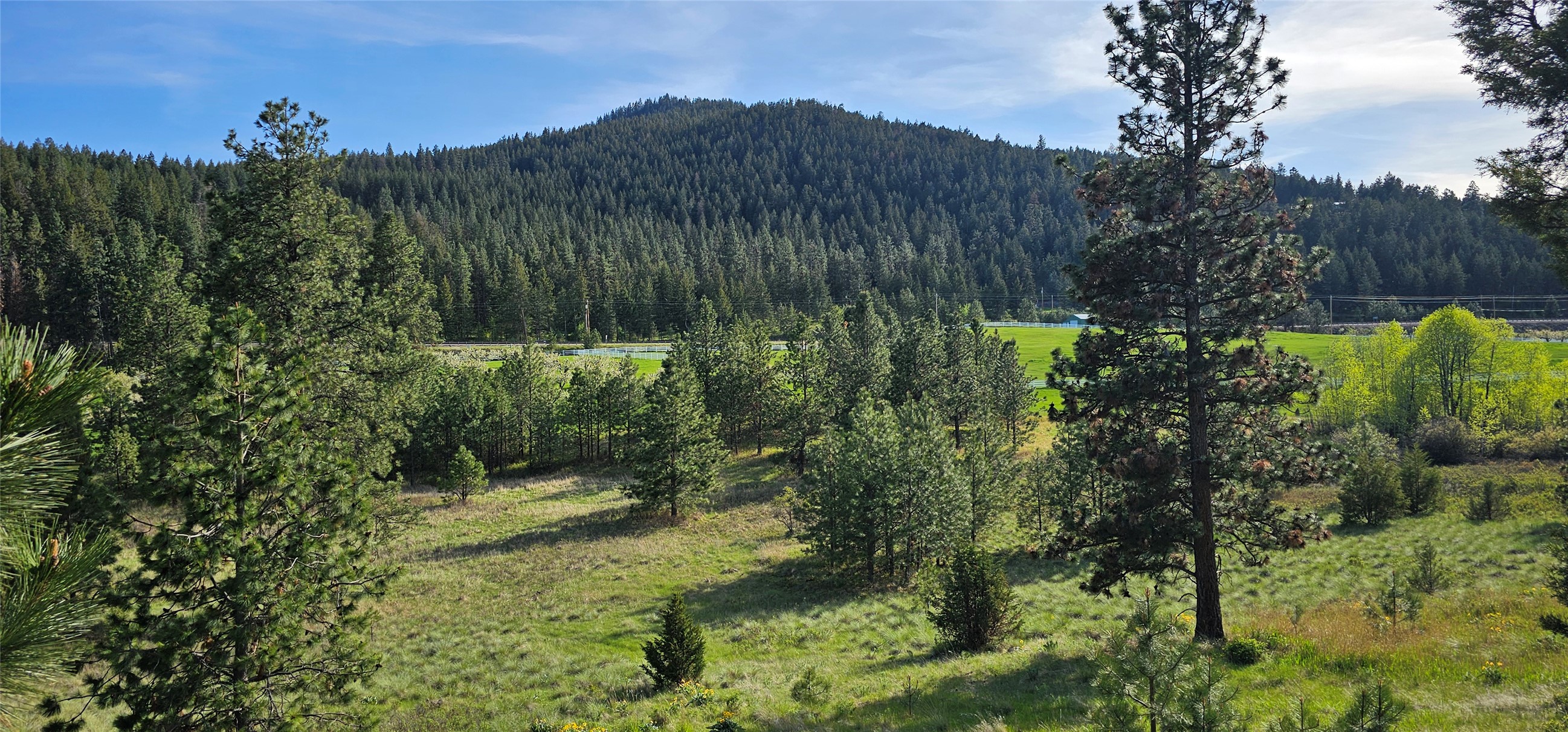 Polson, Montana 59860, United States, ,Land,Active,175284